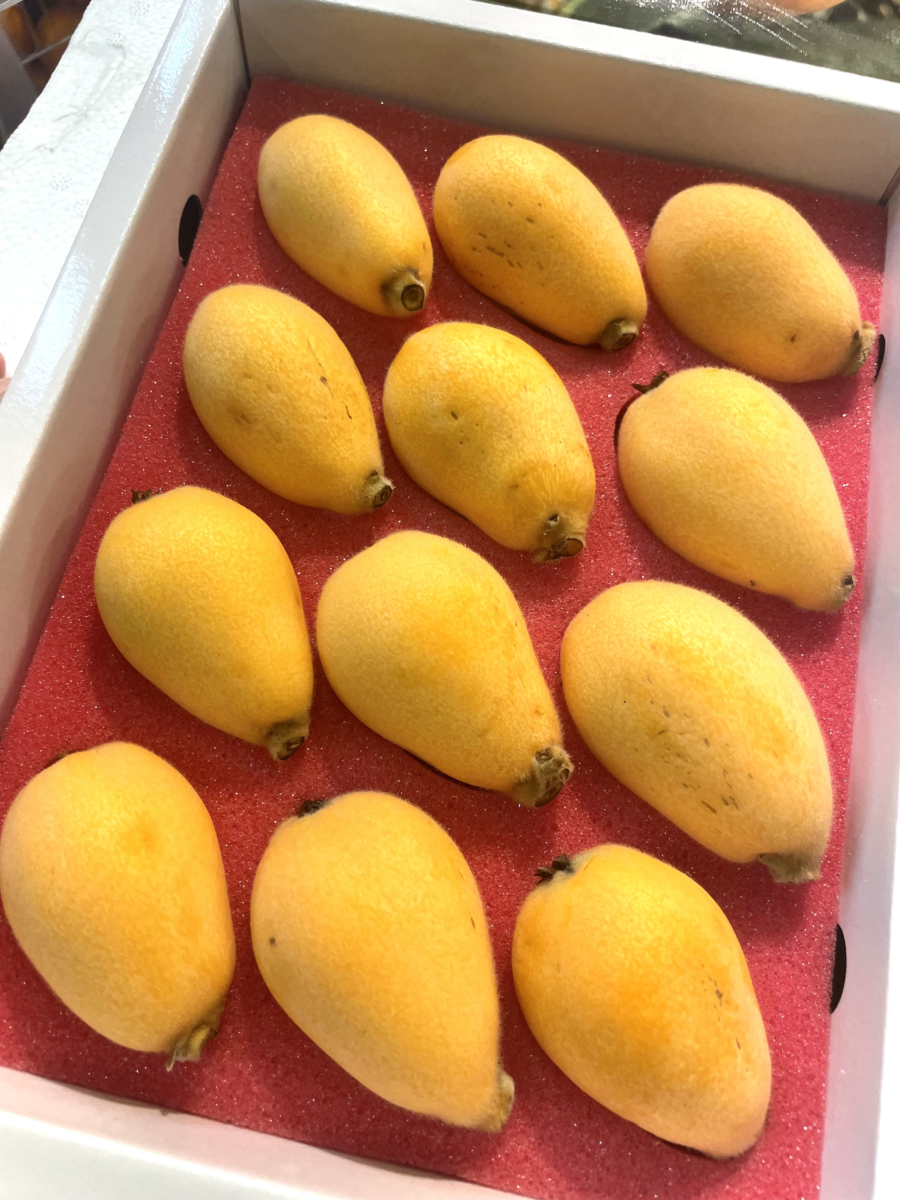 台灣【新鮮枇杷果禮盒】