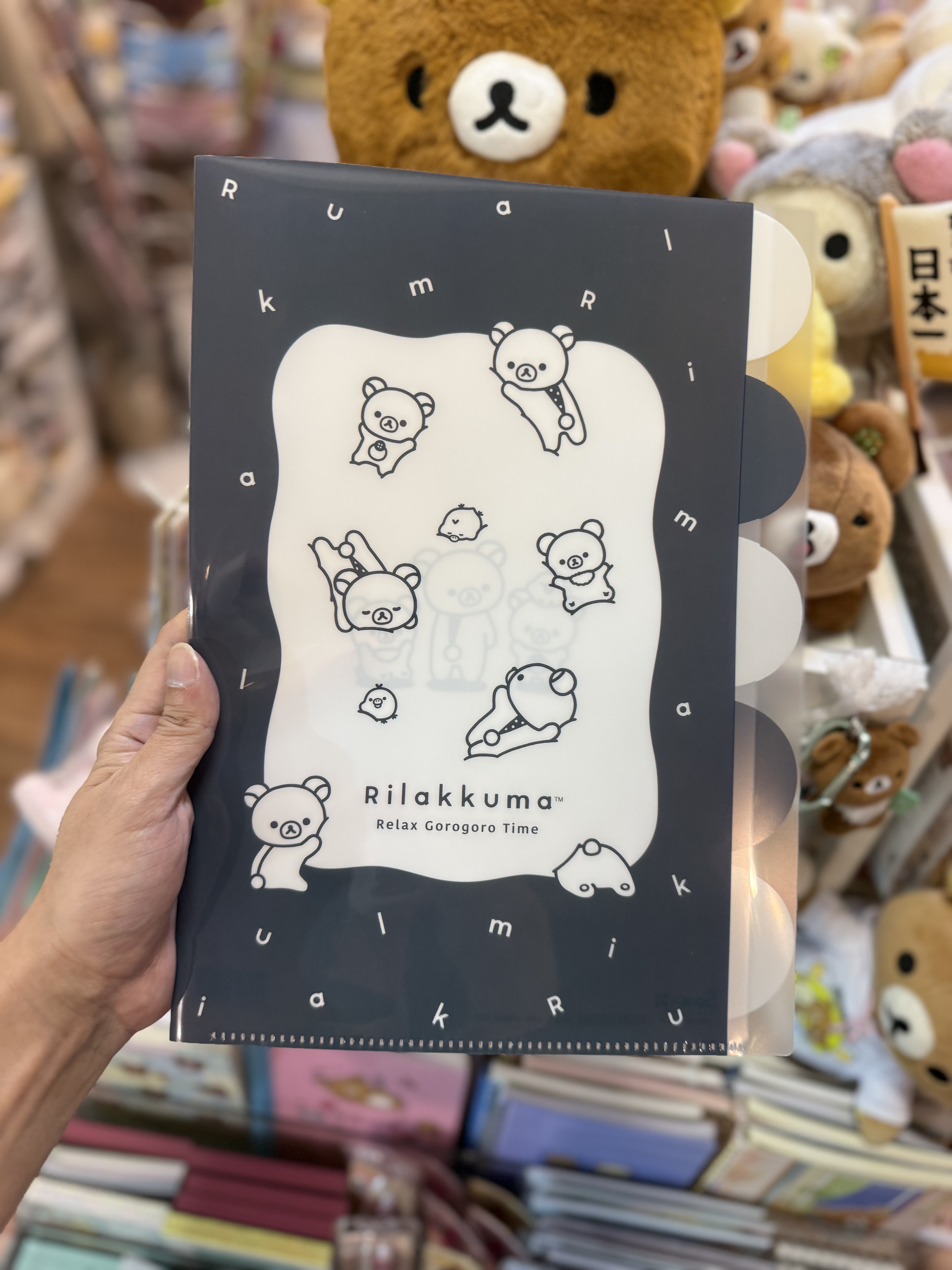 《現貨》全新Rilakkuma黑白造型A4 分格file