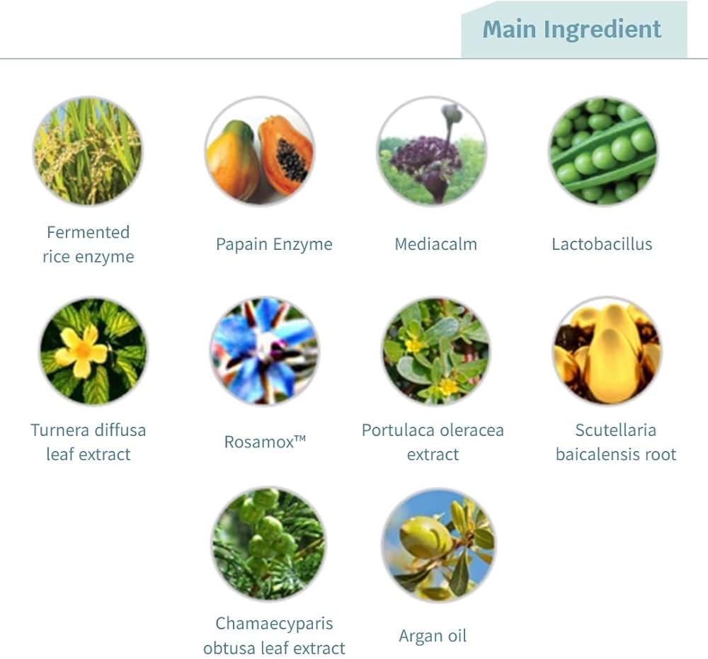 Renecell  Wash Powder 酵素潔面粉  