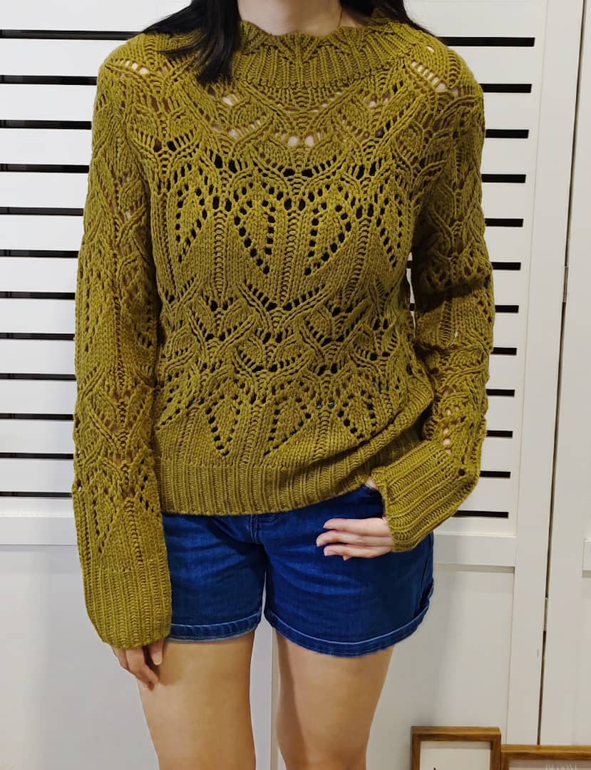 S352 Hollow Kintted Sweater 