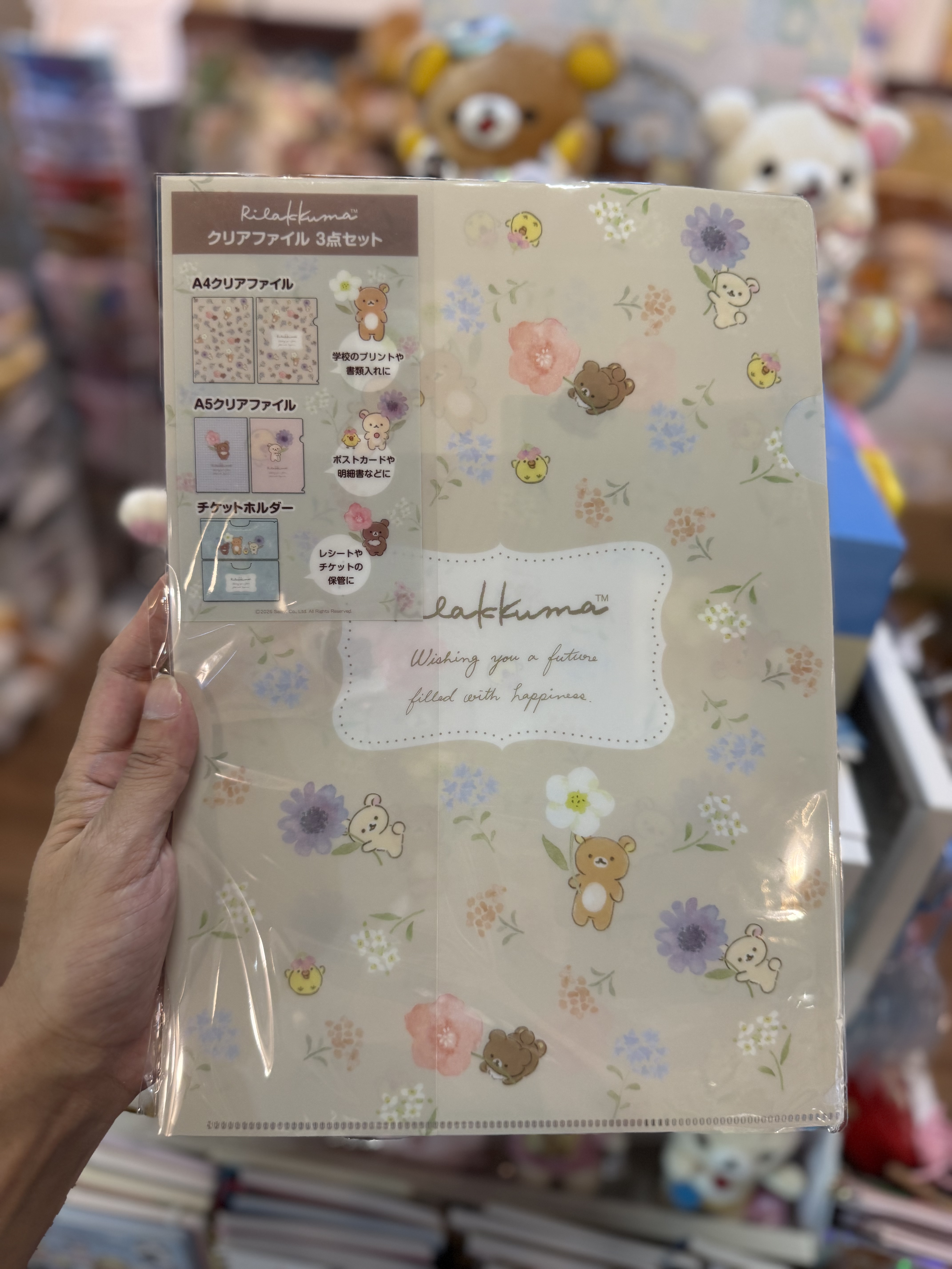 《現貨》全新日本郵便局限定 Rilakkuma A5+A4file+收據袋
