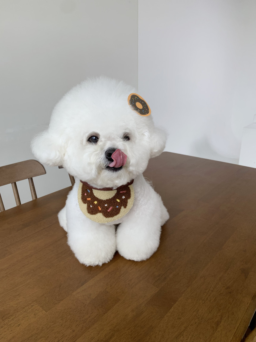 （現貨）韓國🇰🇷 Donut cape 🍩 🍩