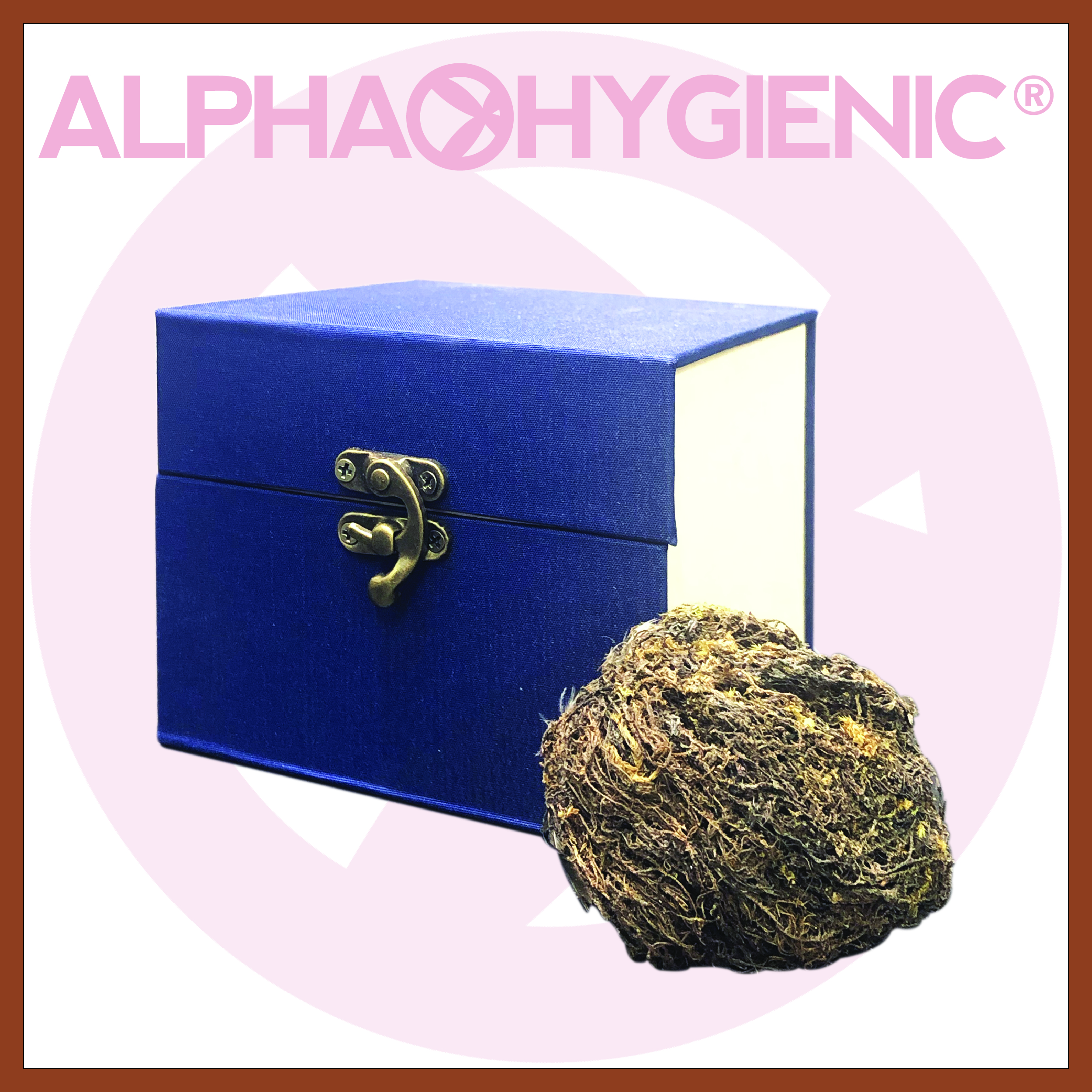 野生燕窩 (約15g)