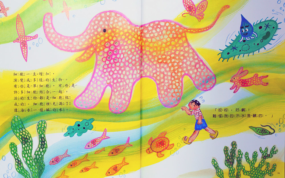 上人 科學環保繪本：我的身體是大的儲水袋