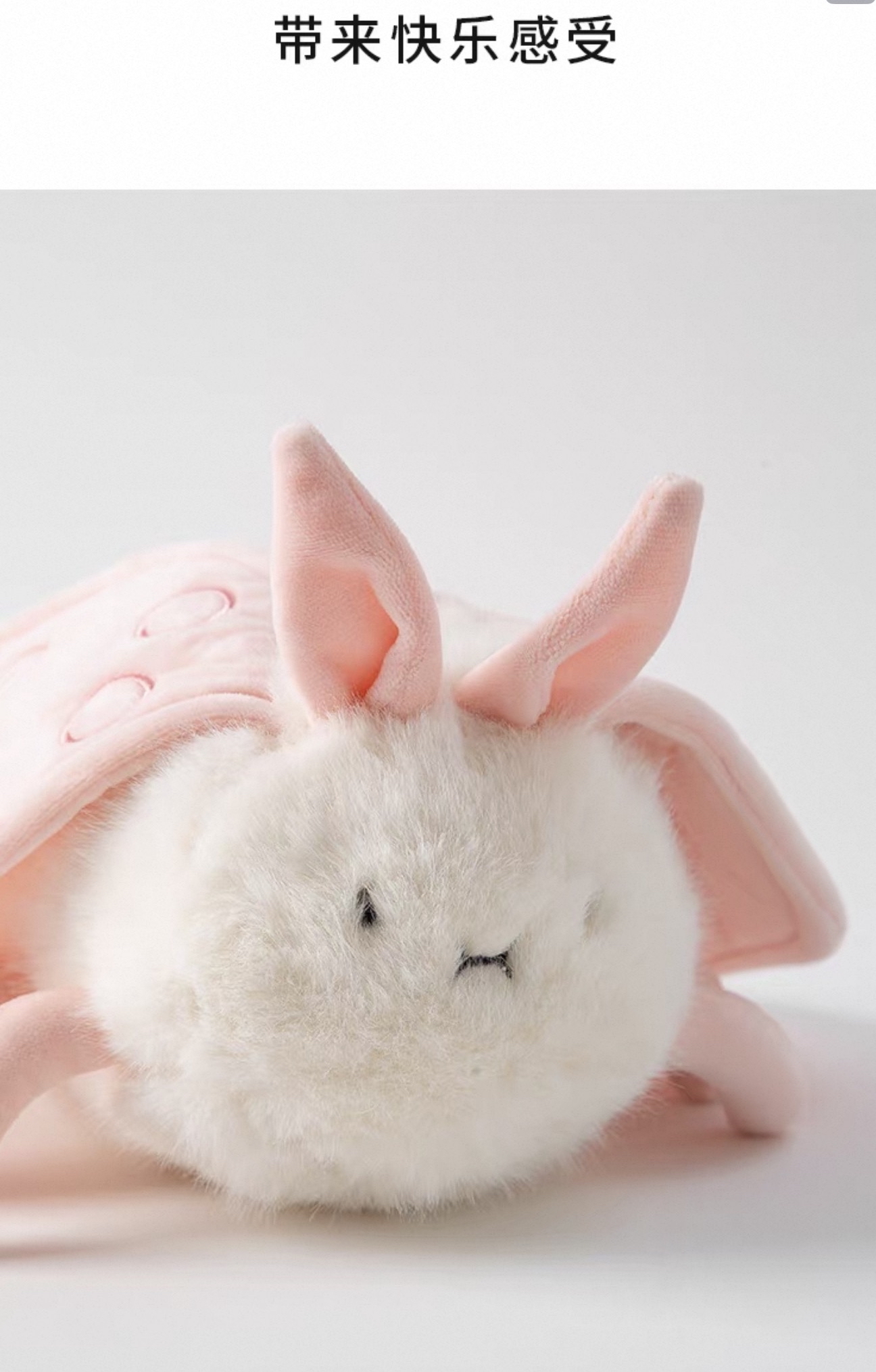 Cutie Insect soft toys 
