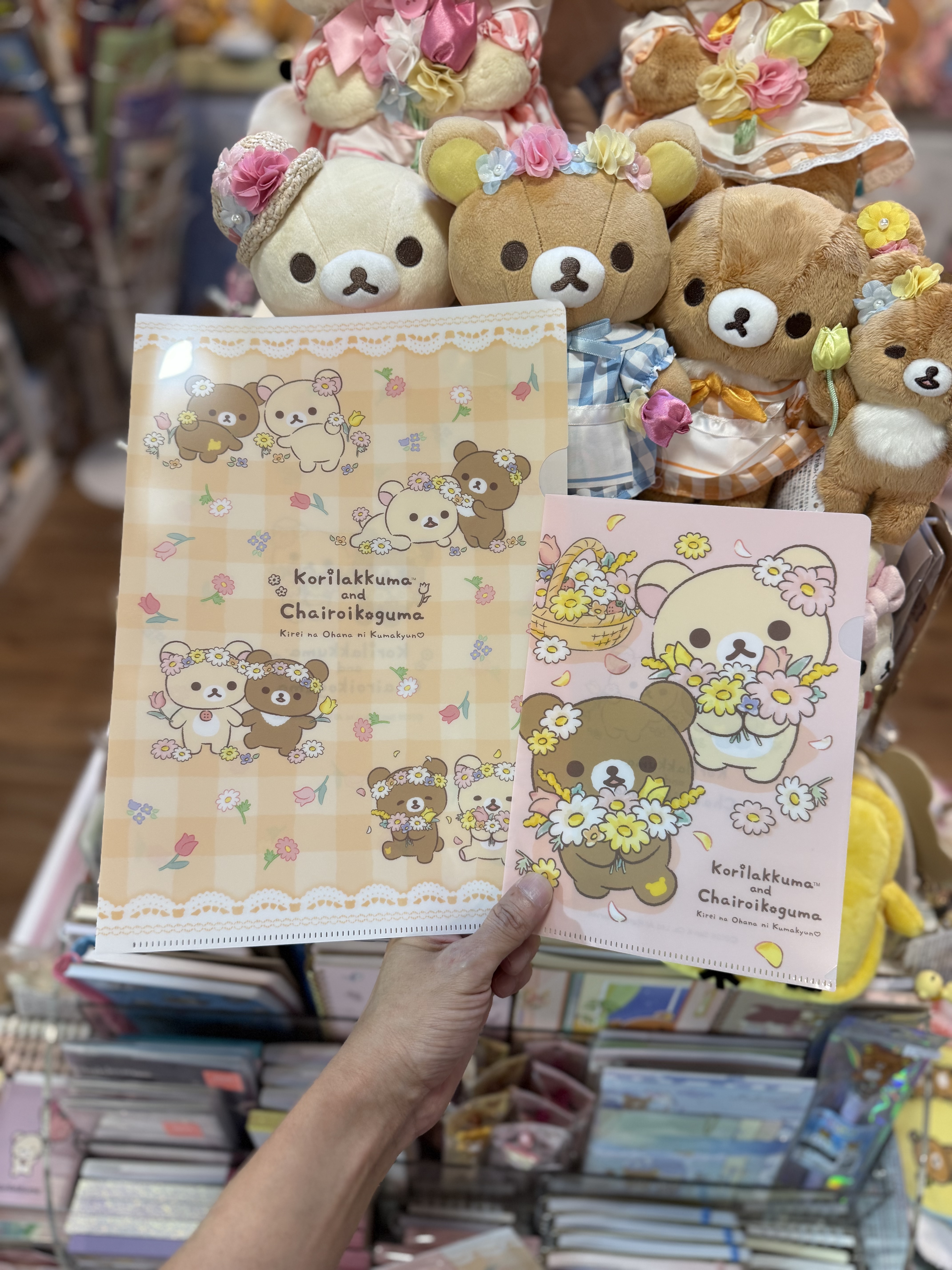 現貨》全新日本有樂町pop up店限定 花花造型A4+A5 