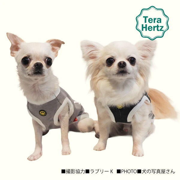 日本製🇯🇵 毛孩照護與保養犬服 團購優惠開跑