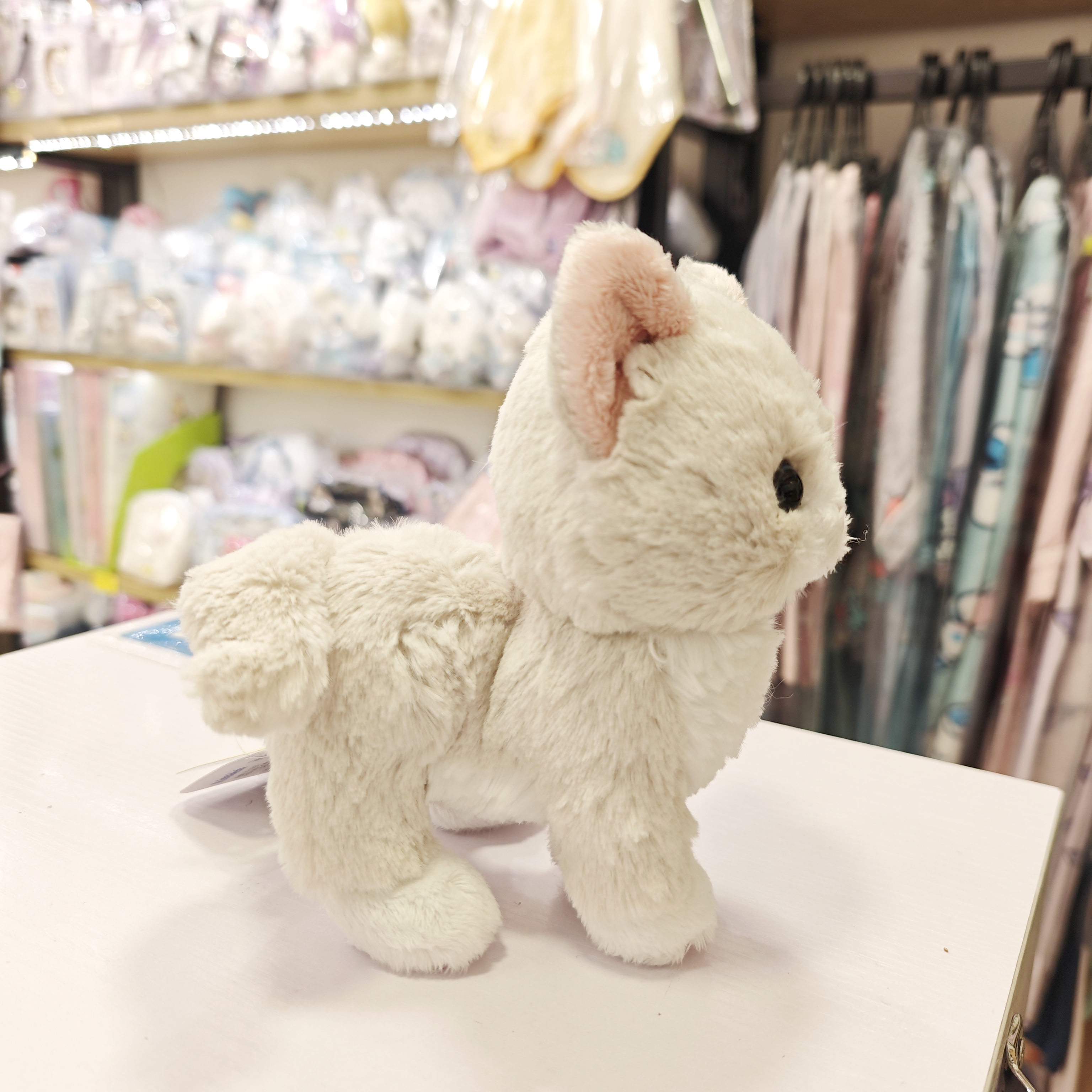 😊 SunLemon可愛貓咪公仔 😆