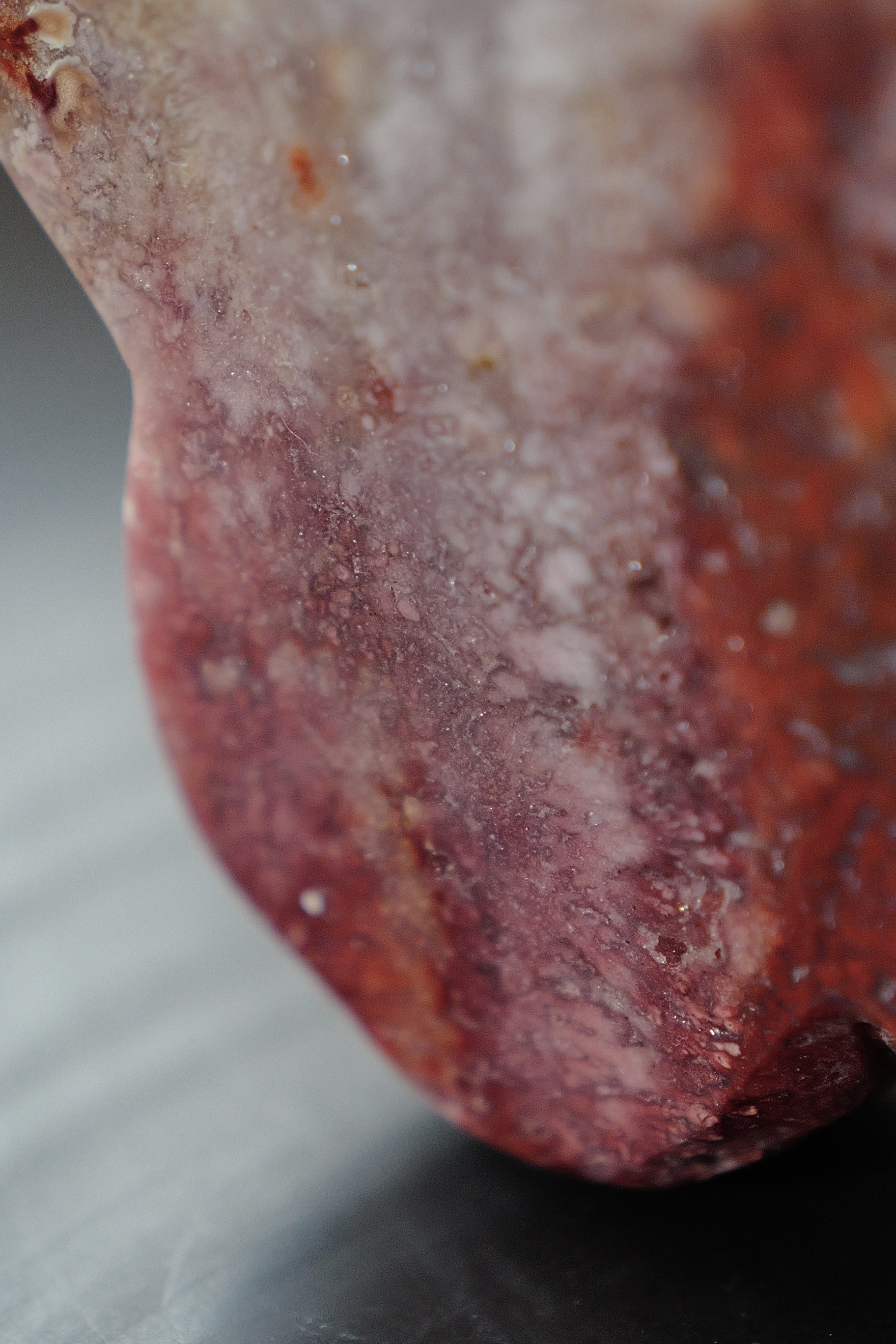 ꧁11.2cm RED JASPER BUTTERFLY ꧂JA.7048C3AG3A8-RA20*5em