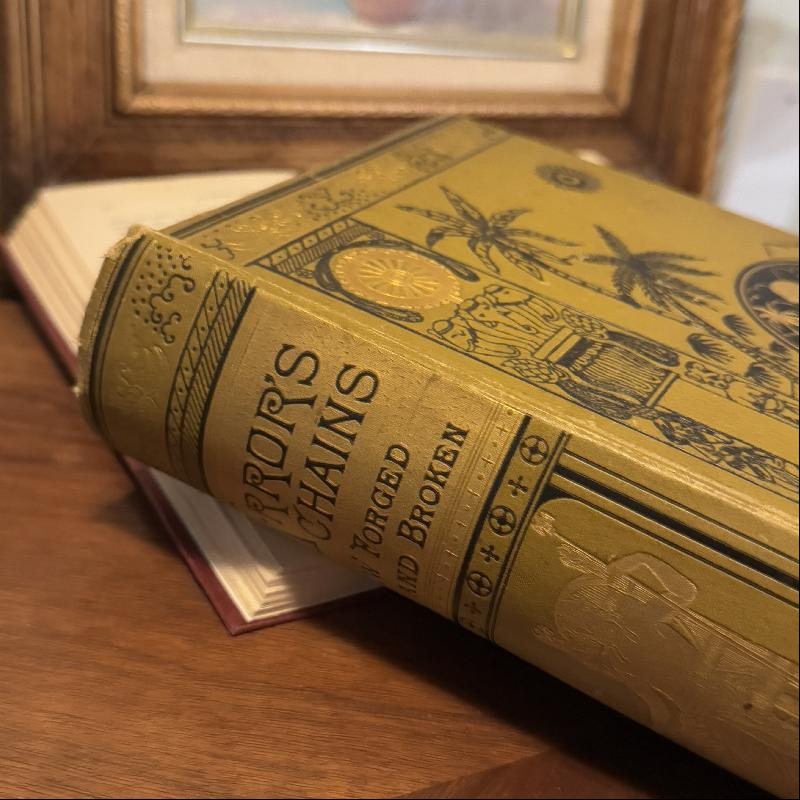 RARE! 1883 Victorian Era "Error's Chains: How Forged & Broken" by Frank S. Dobbins (MT2245)