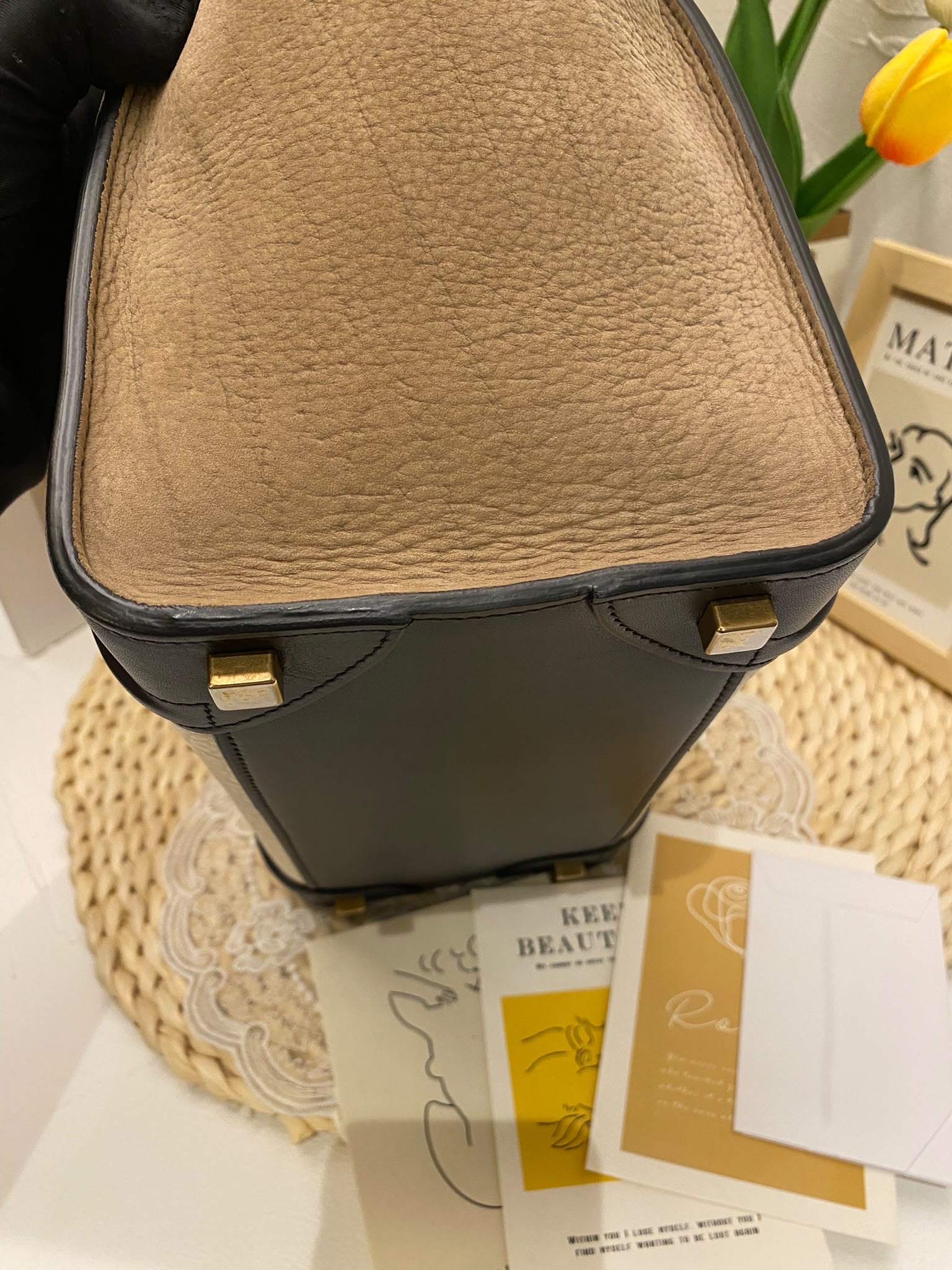 Celine Tricolor Luggage Bag