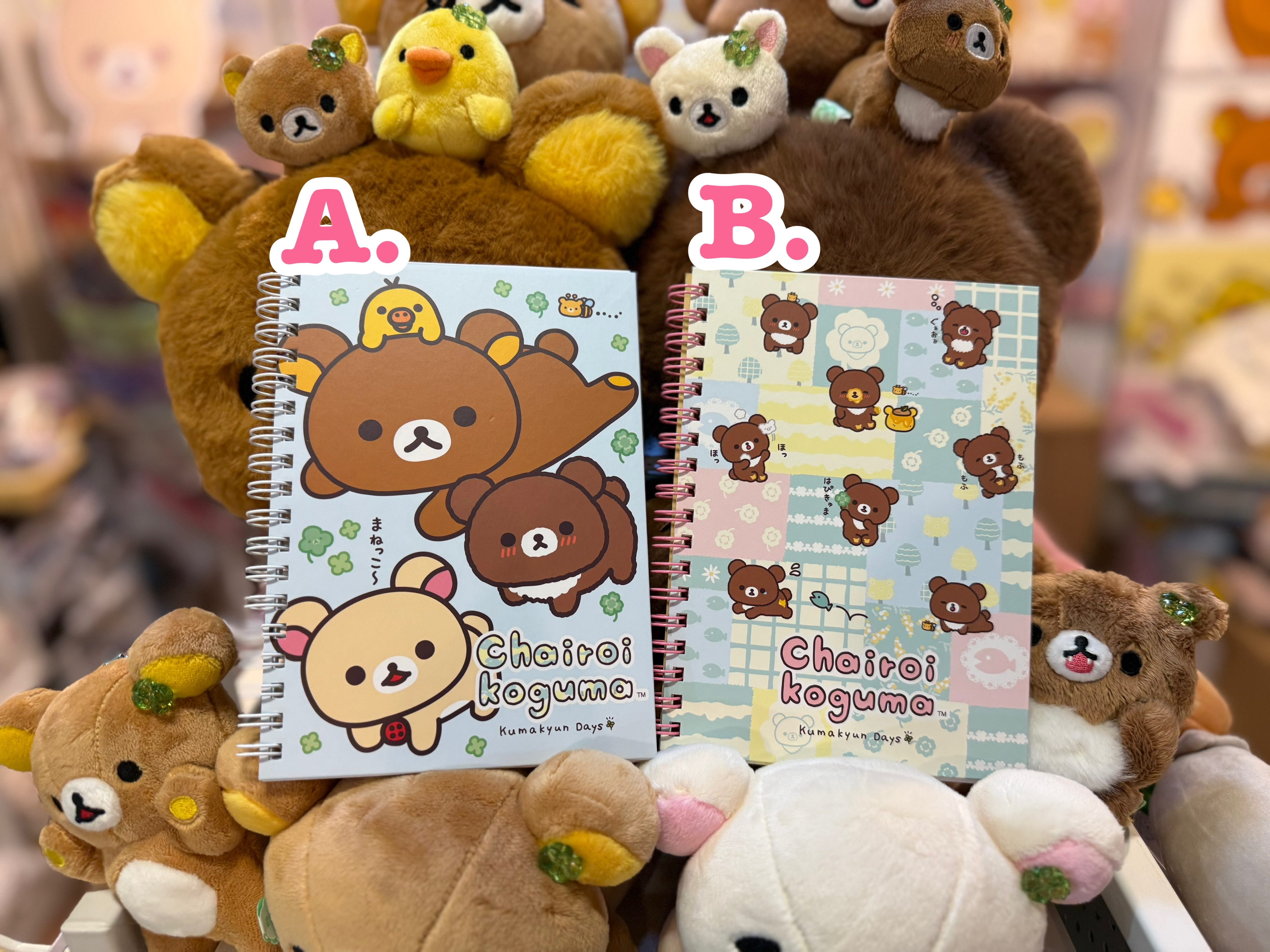 《現貨》全新小熊10週年紀念四葉草系列圈簿