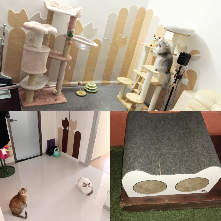 防貓磨抓遮醜梳化牆貼