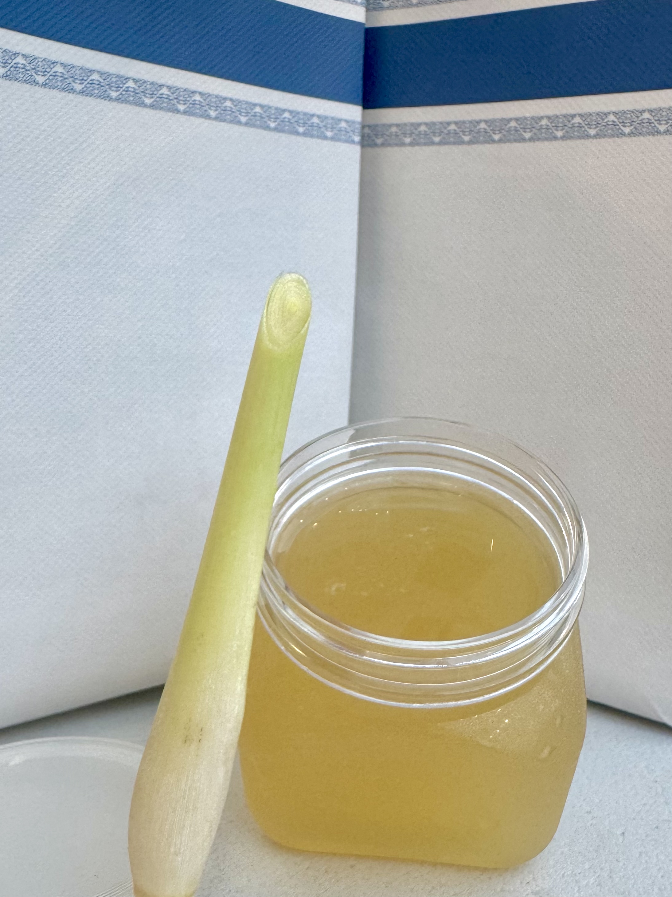 Fresh Boiled Fish Scale Collagen 新鲜炖鱼鳞冻