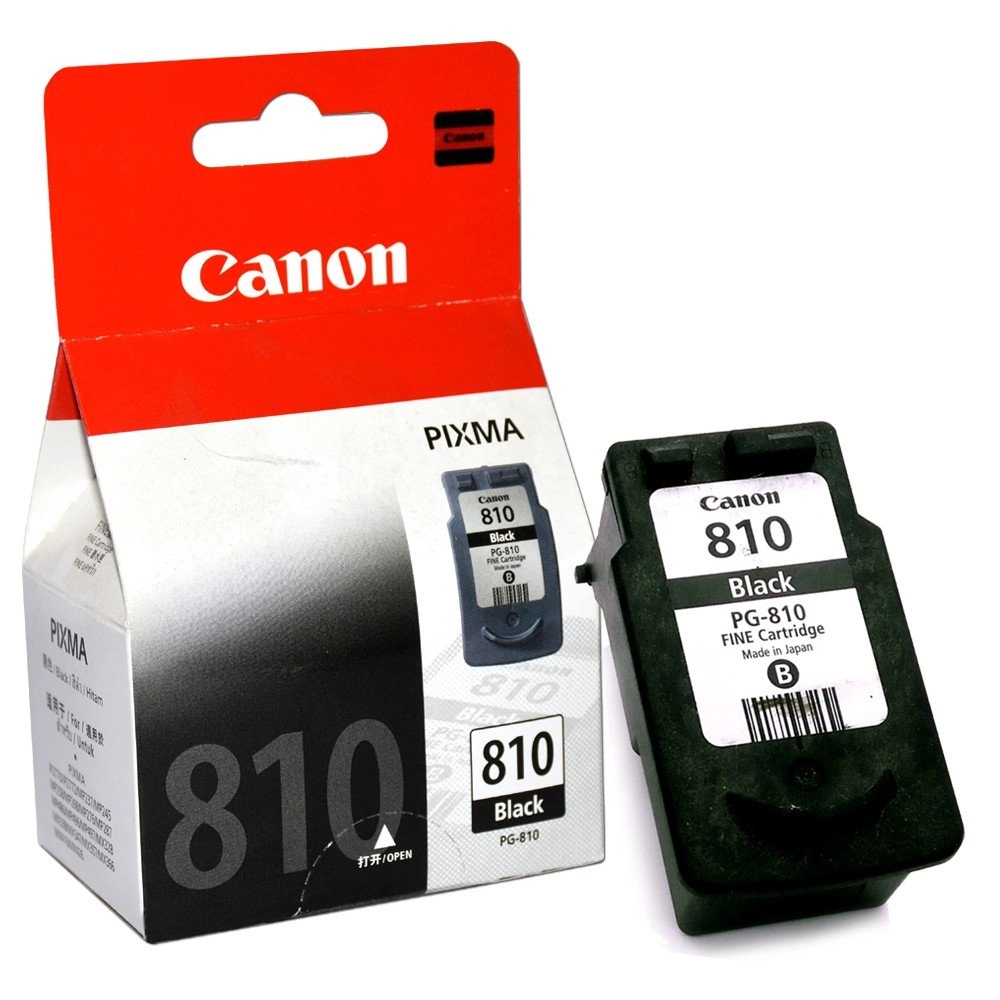 Canon Ink Cartridge PG-810 (Original)