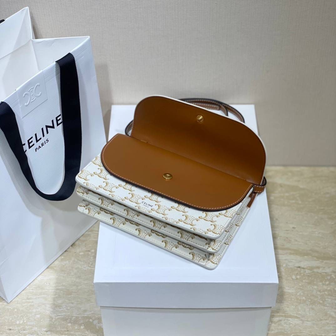 🔥大货实拍图 𝗖𝗘𝗟𝗜𝗡𝗘 ♥ 𝗖𝗔𝗡𝗩𝗔𝗦 𝗪𝗢𝗖风琴包 型号：10D852 尺寸：20*11.5cm