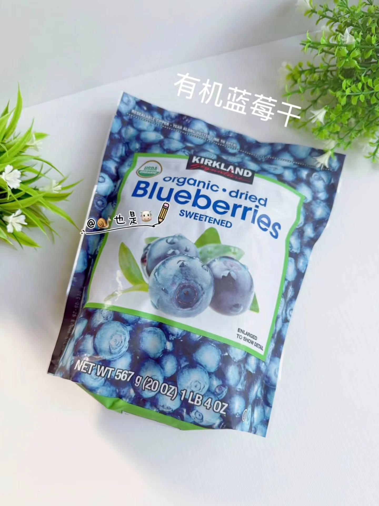 🇯🇵Kirkland 有机蓝梅干