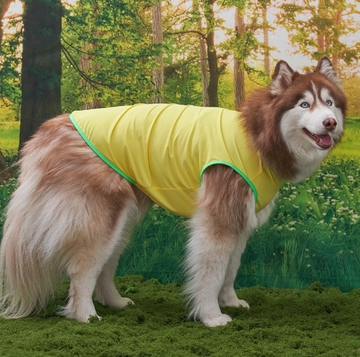*Super Pet🇰🇷狗狗涼感背心(DG416) 尺碼S-6XL