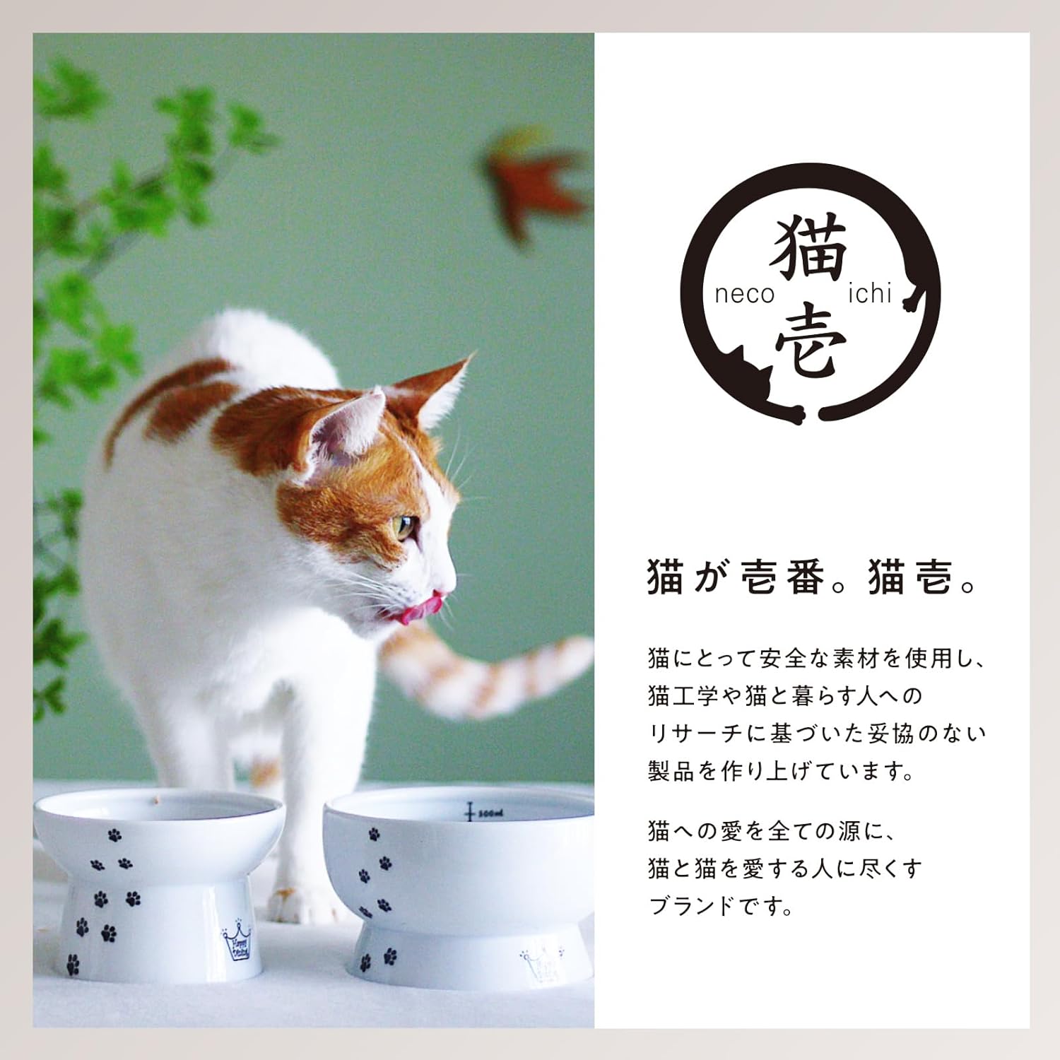 🔥🔥【日本直送《猫壱 x mofusand》貓用高腳防吐陶瓷貓碗】