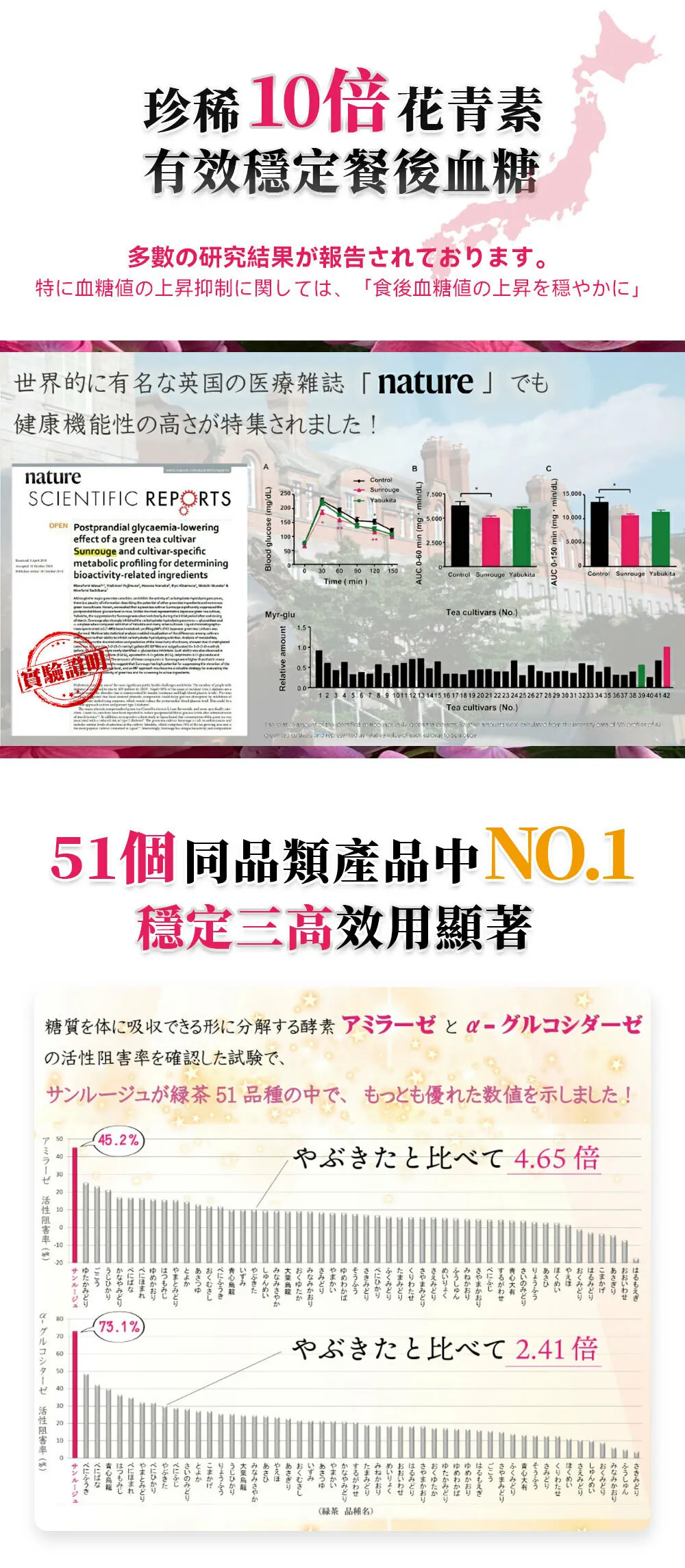 日本 日茜茶 世界自然遺產鹿兒島長壽茶 一盒內有20包