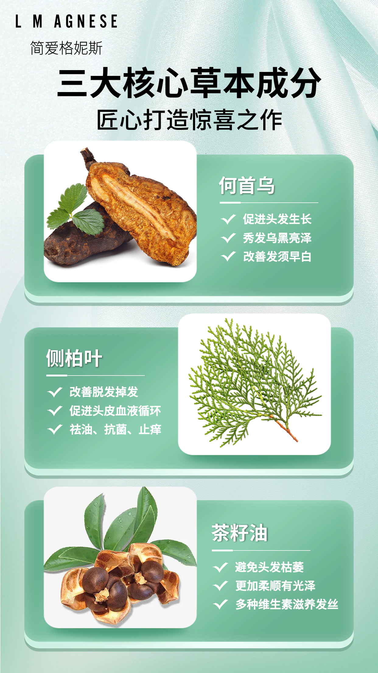 草本洗发水 Herbal Shampoo 400mL