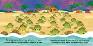 Igloo Books - Mini Story Book - Little Turtle