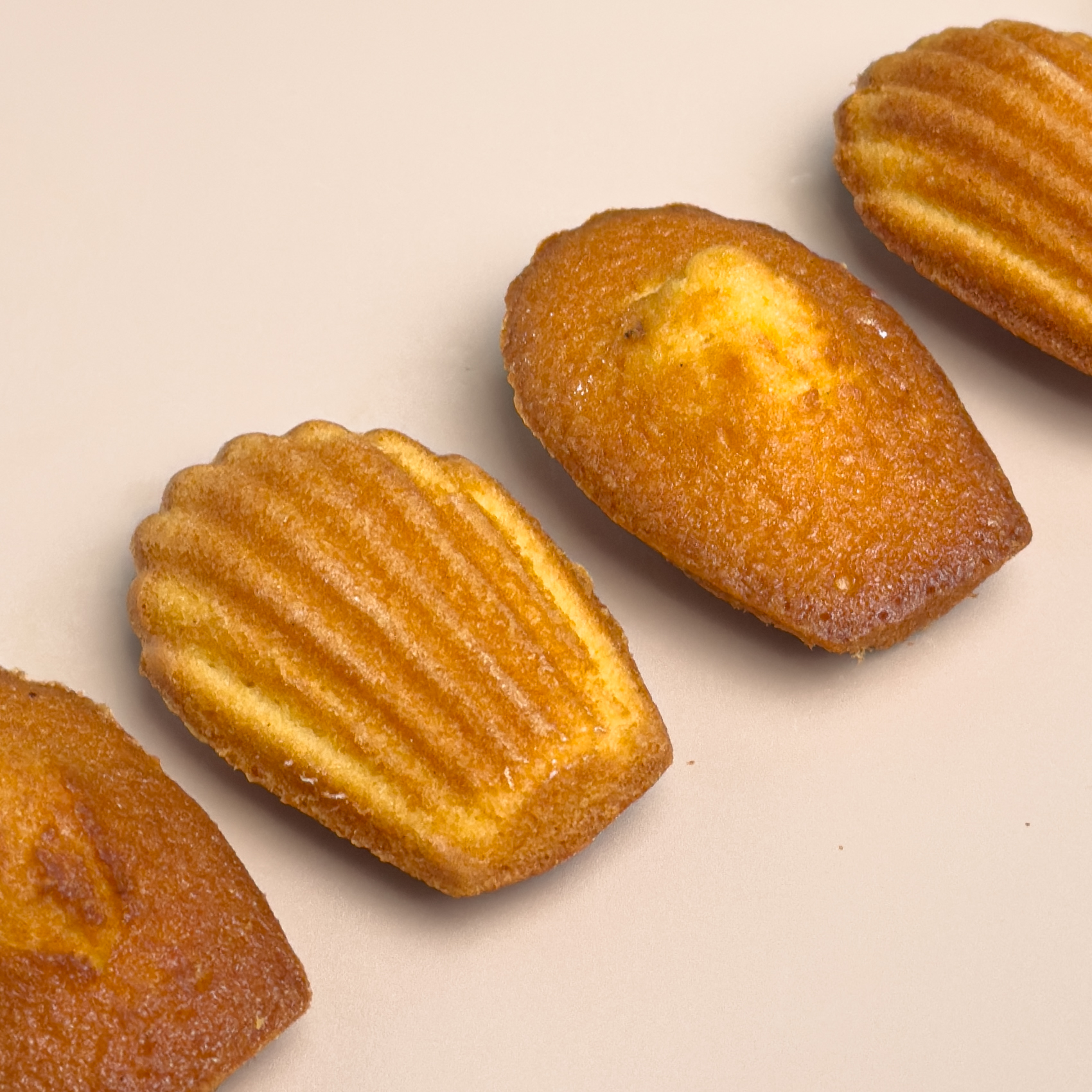 瑪德蓮  Madeleine