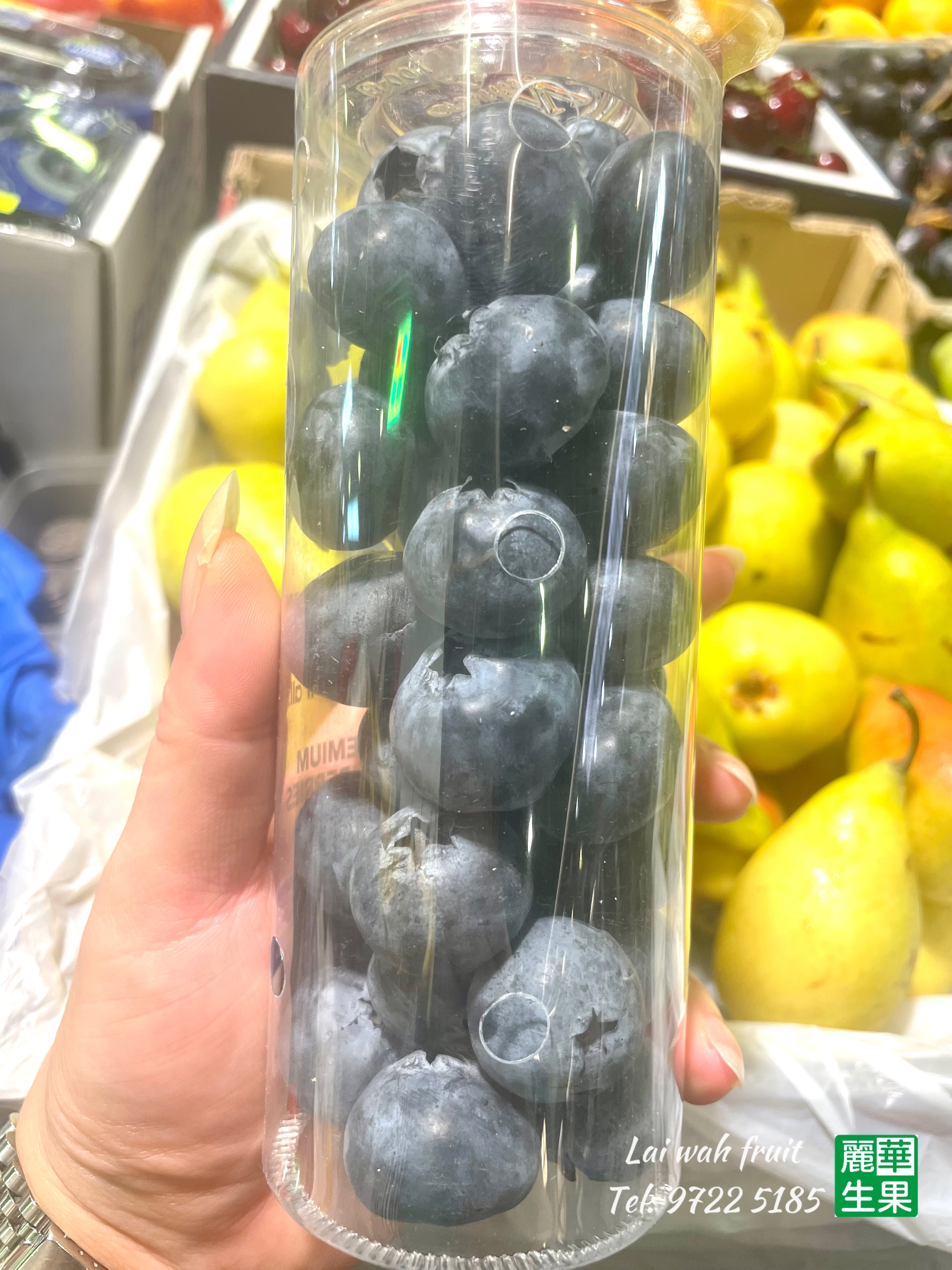 津巴布韋·珍寶級 (JUMBO)藍莓200g