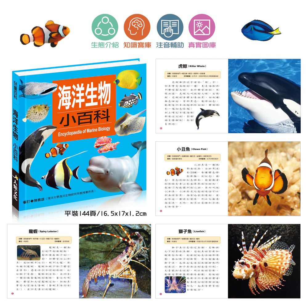 酷樂 小百科系列: 海洋生物小百科