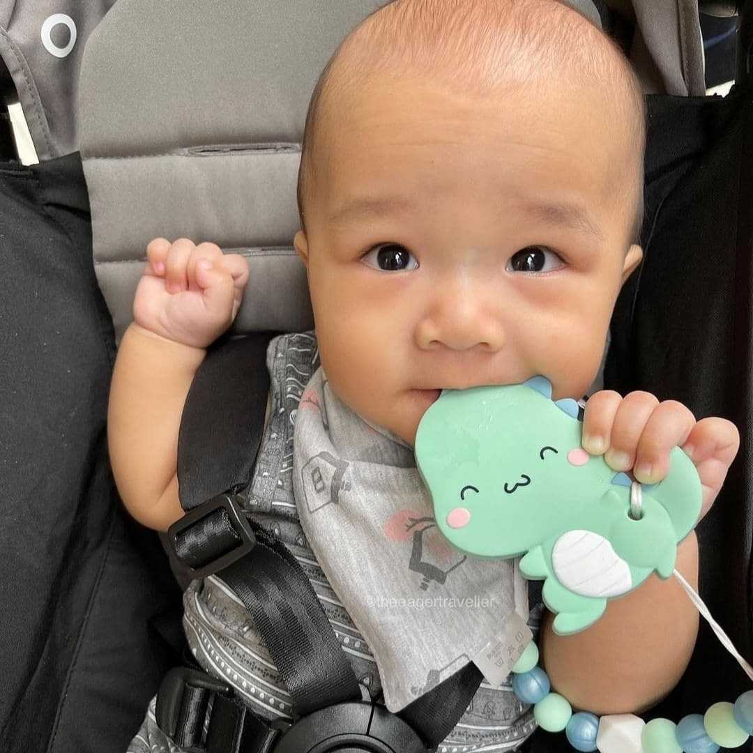 Little bearnie baby teether