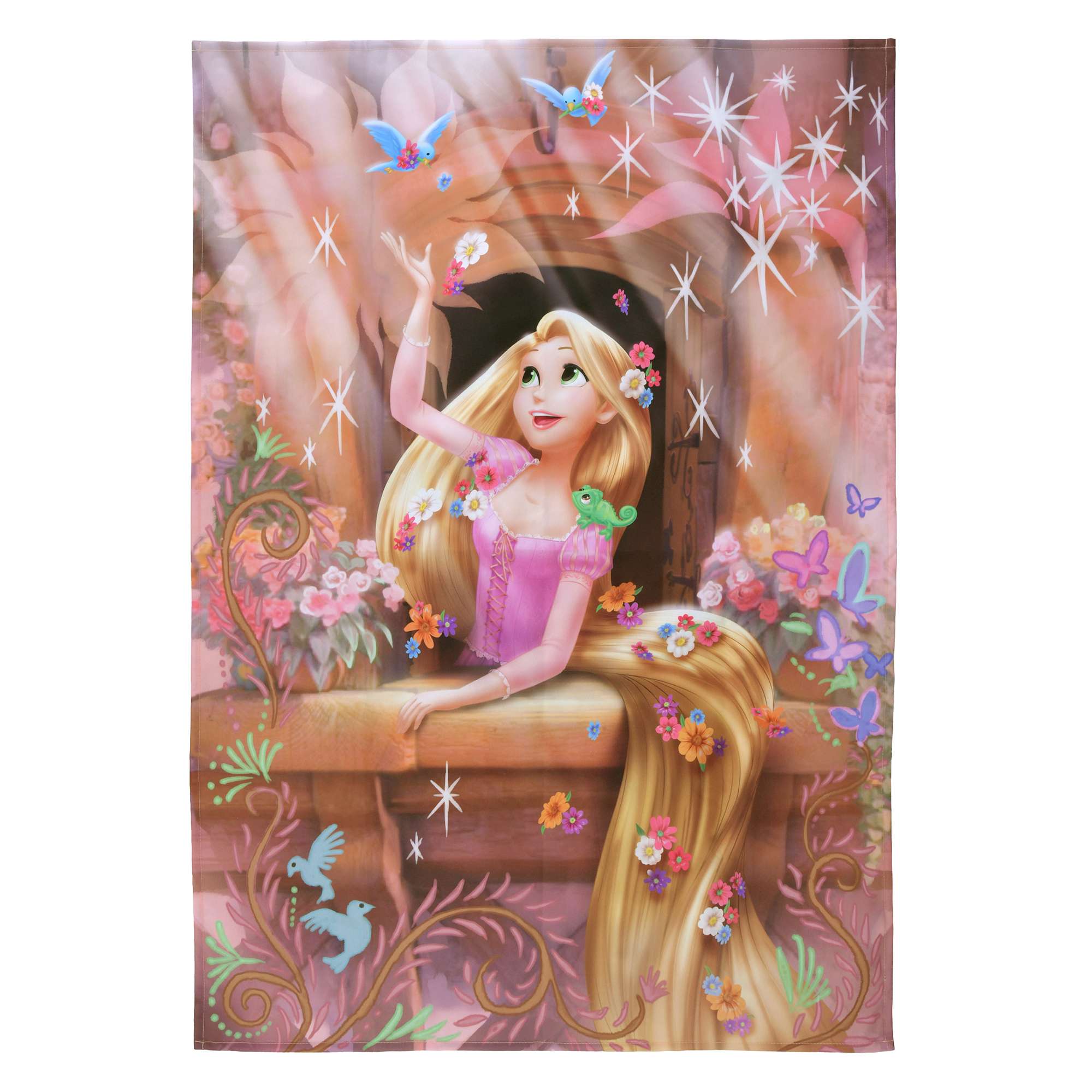 【預訂】Disney Leisure Time - Rapunzel 野餐墊連索袋