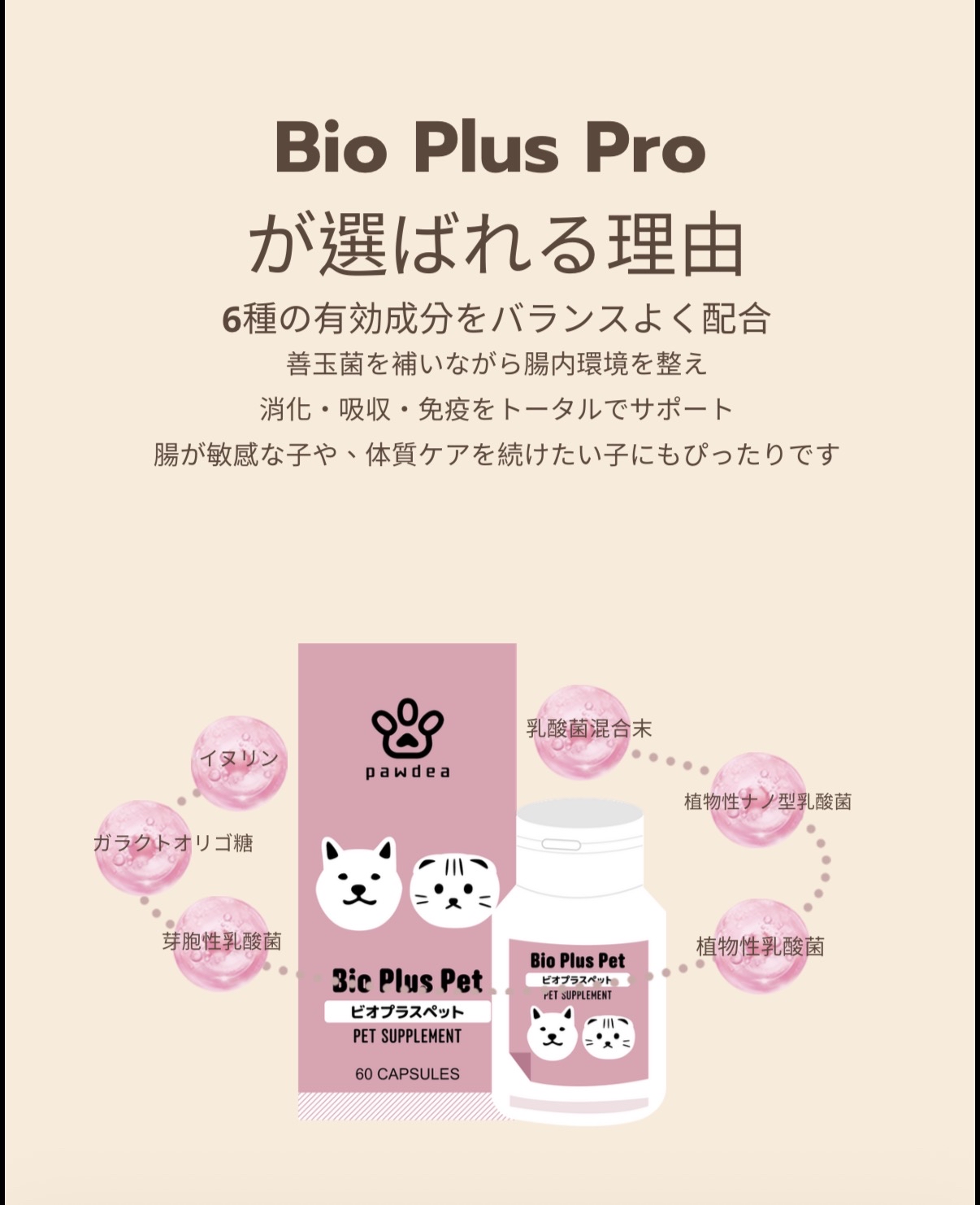 Pawdea 日本製 貓狗可用 腸道健康保健丸