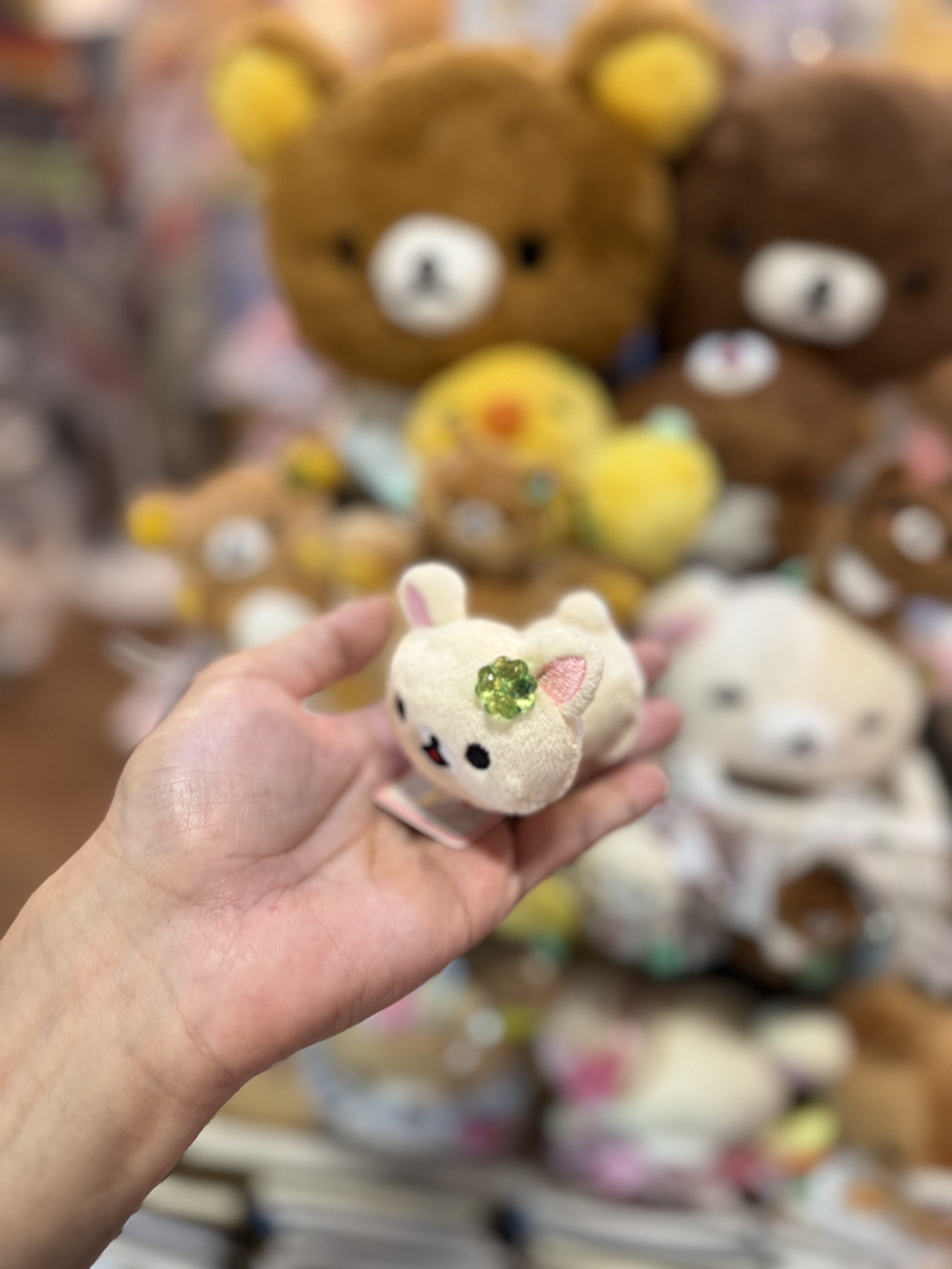 《現貨》全新小熊10週年紀念四葉草系列趴地手玉公仔