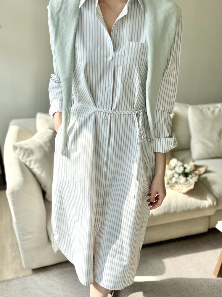 The Striped Shirt Dress
