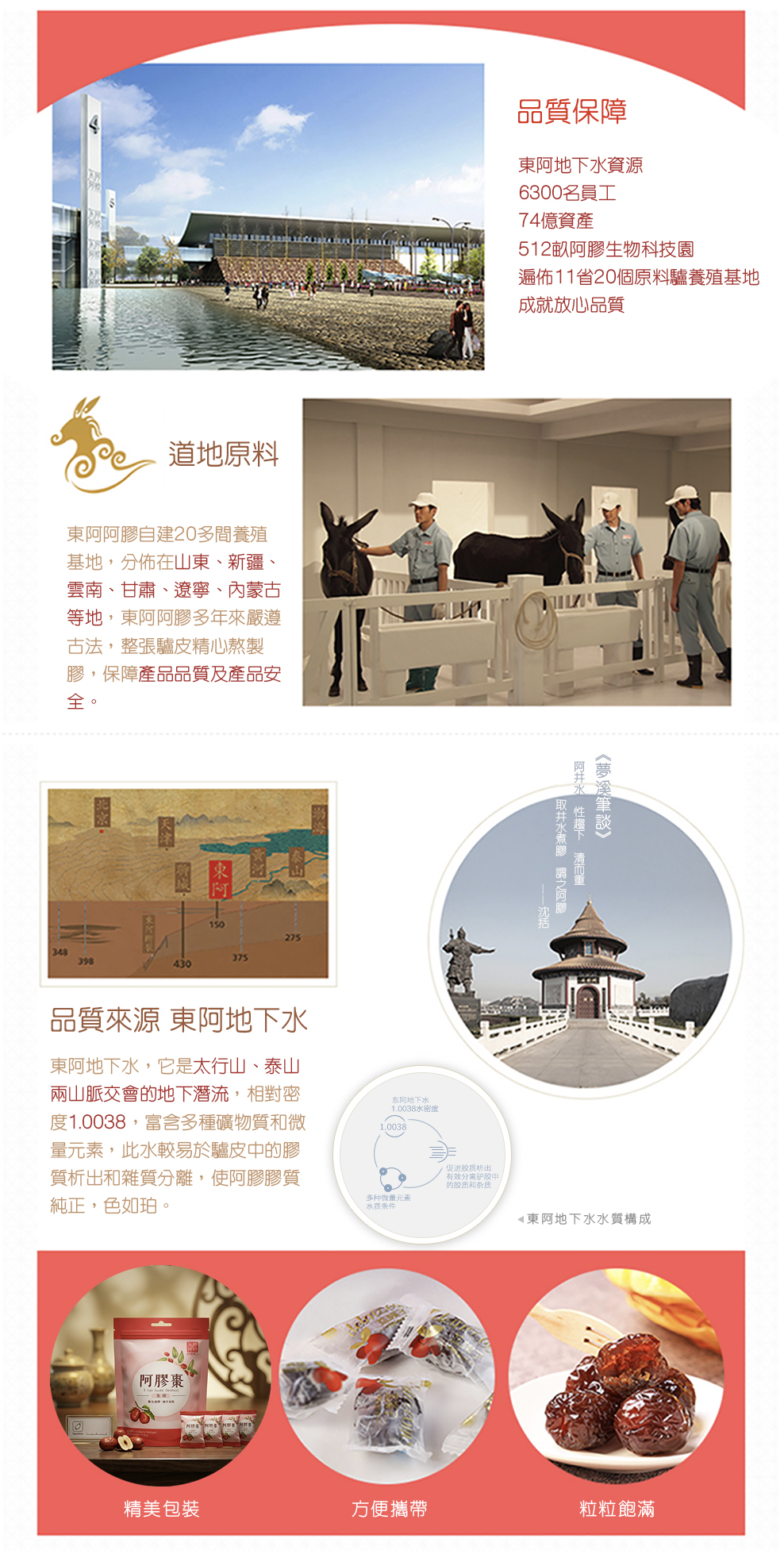 東阿阿膠棗 70g