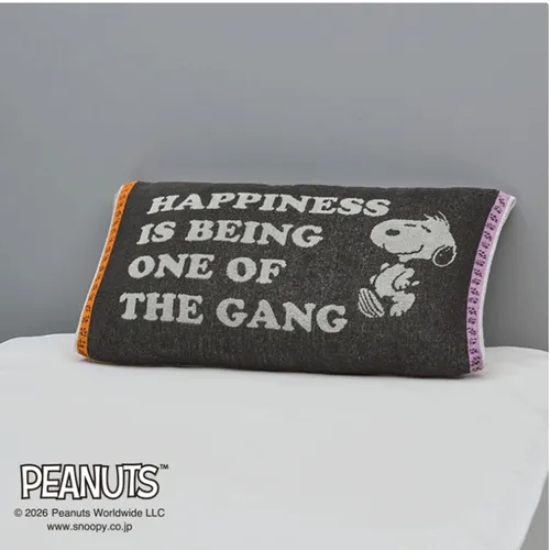 日本直送~新款Snoopy毛巾枕頭套 灰色