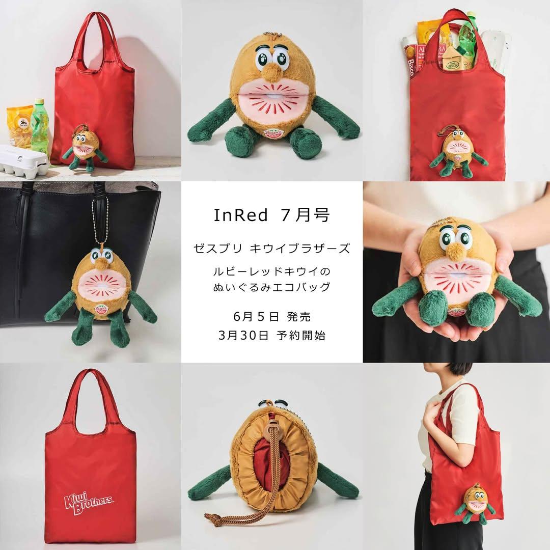 日本 雜誌聯乘 InRed 奇異果 收納 環保袋