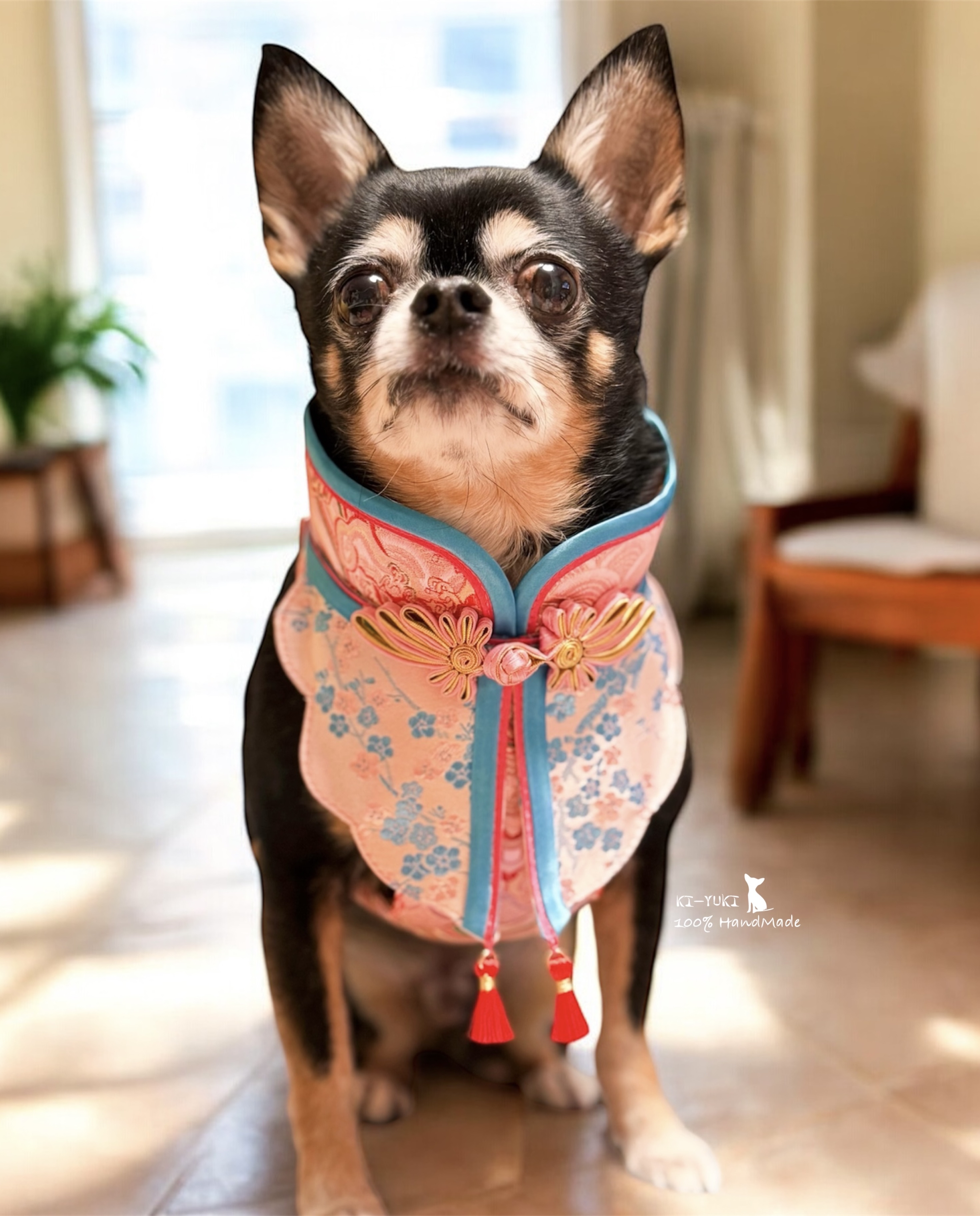 2026新春作品 賀歲寵物外出胸背帶 唐裝風格