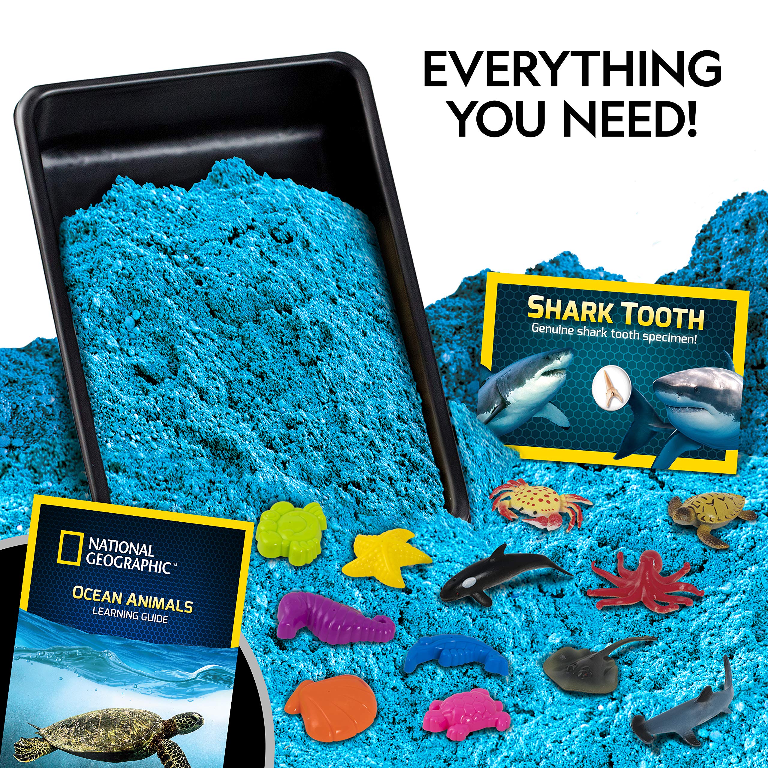【感官沙玩具】National Geographic Ocean Sand 海洋沙套裝 兒童動力沙玩具｜不乾沙 模具創作 沙盤遊戲 3歲以上｜Vbuy