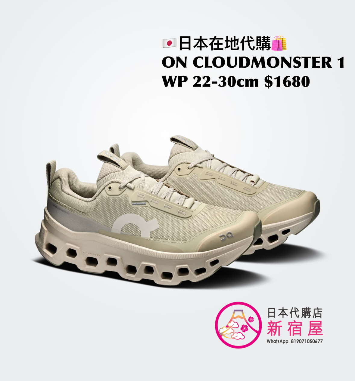ON CLOUDMONSTER 1 WATERPROOF
