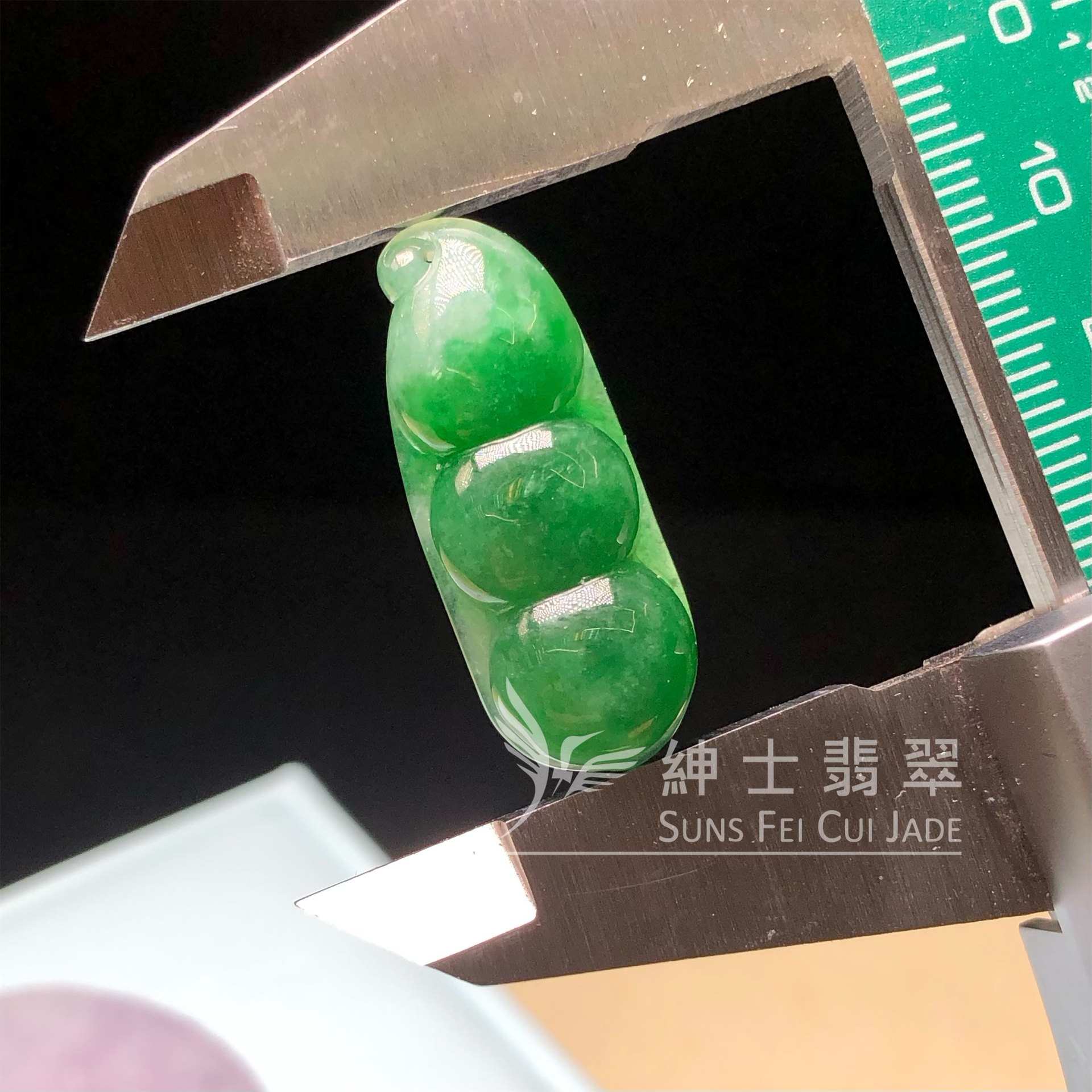 B08979 滿色福豆