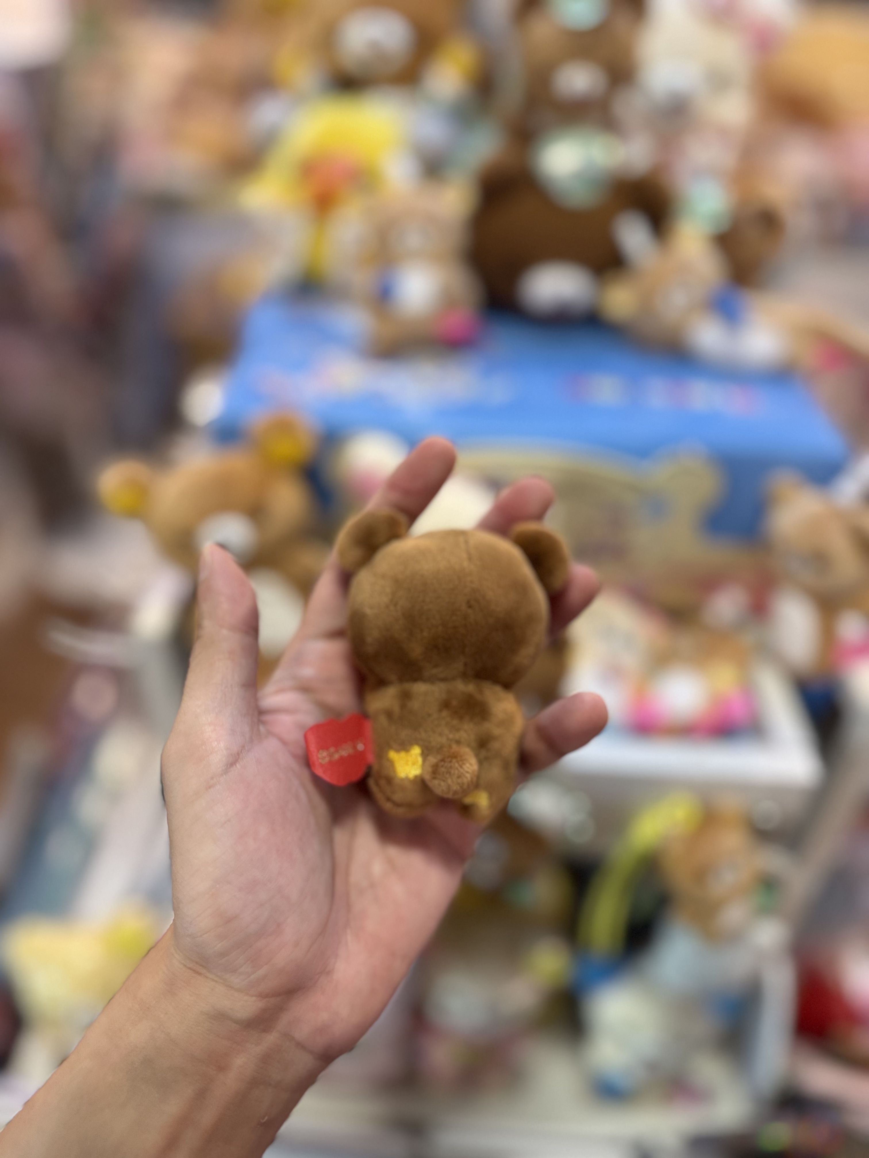 《現貨》全新日本小熊10週年紀念巡迴pop up店限定小熊探險隊系列3隻手玉連索袋套裝