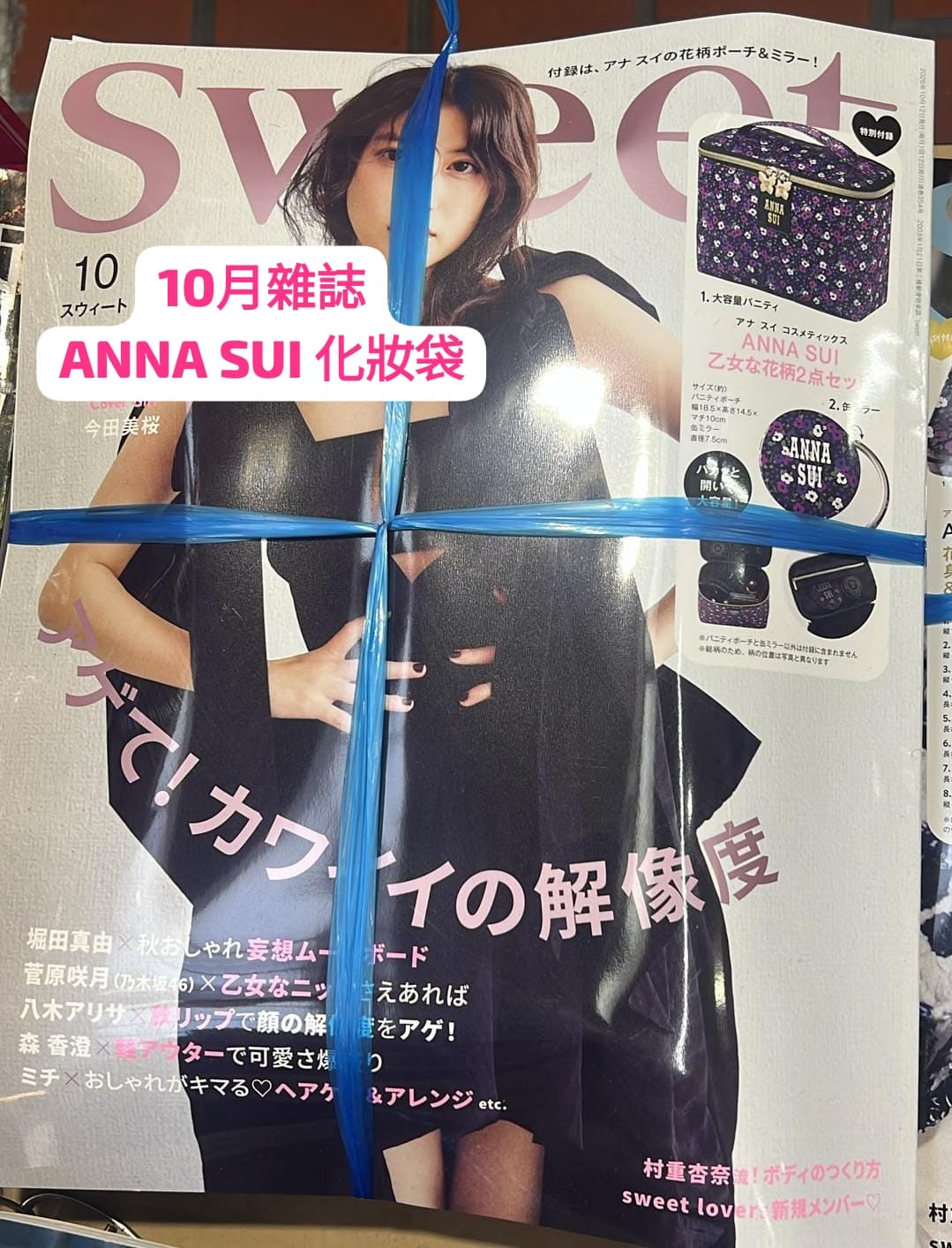 🇯🇵日本直送🦋Anna Sui 大容量化妝袋連鏡(雜誌附錄)