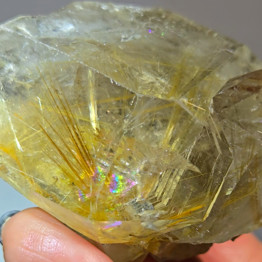 Golden starburst rutiles on black hematite in quartz - RT1429