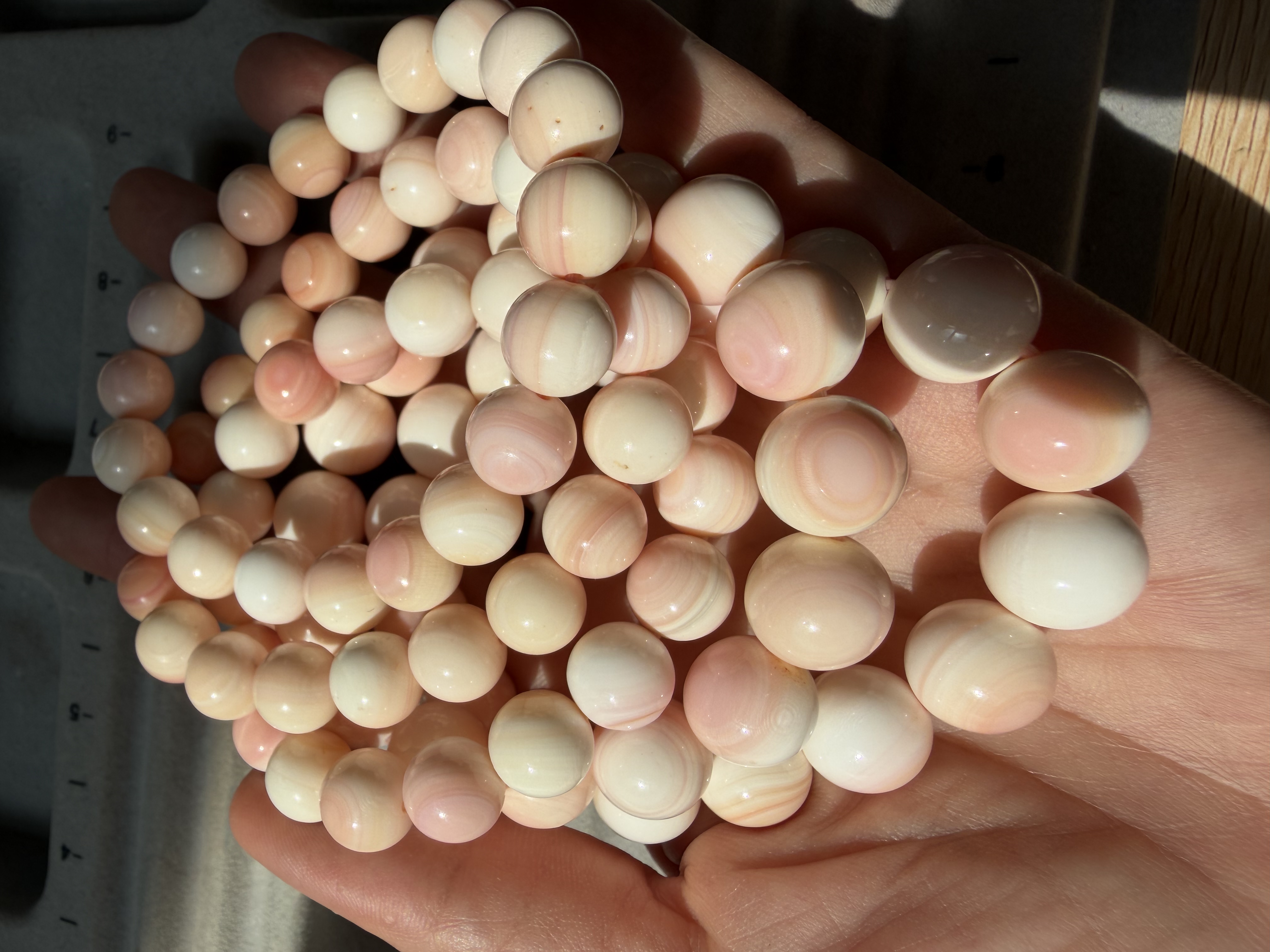 12mm純天然墨西哥女皇貝手串 (隨機發貨)