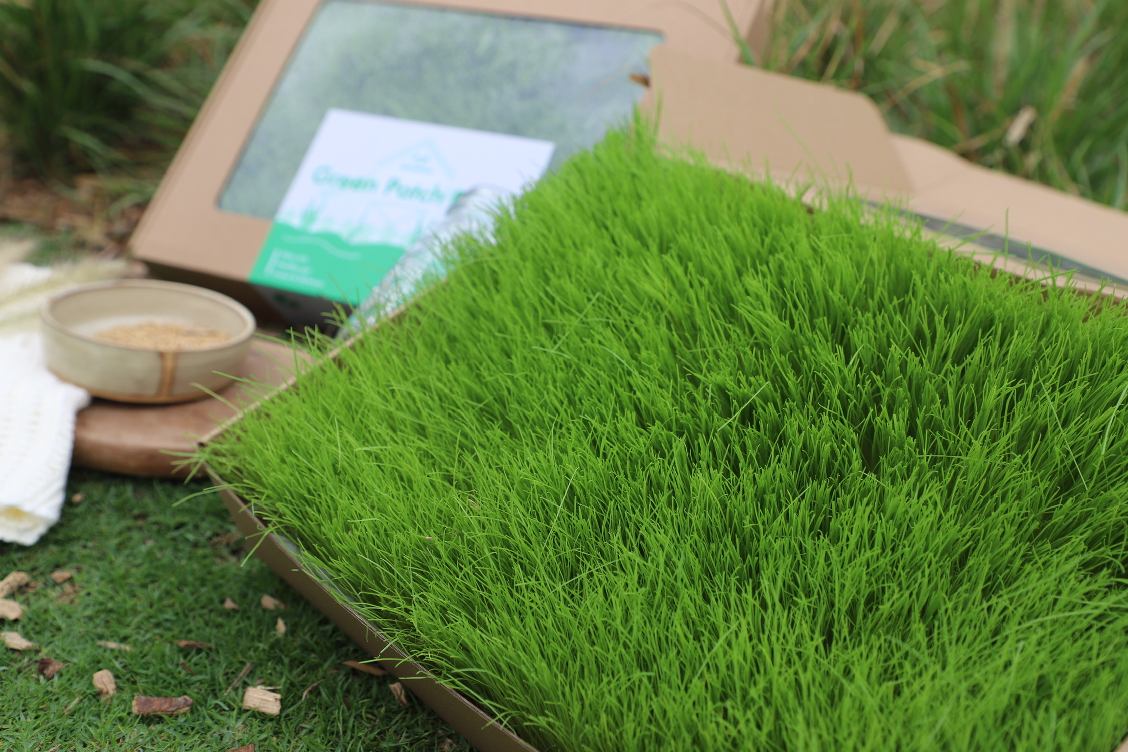 香港 Green Patch Farm Fresh Meadow 小寵物黑麥草X燕麥草 真·草皮