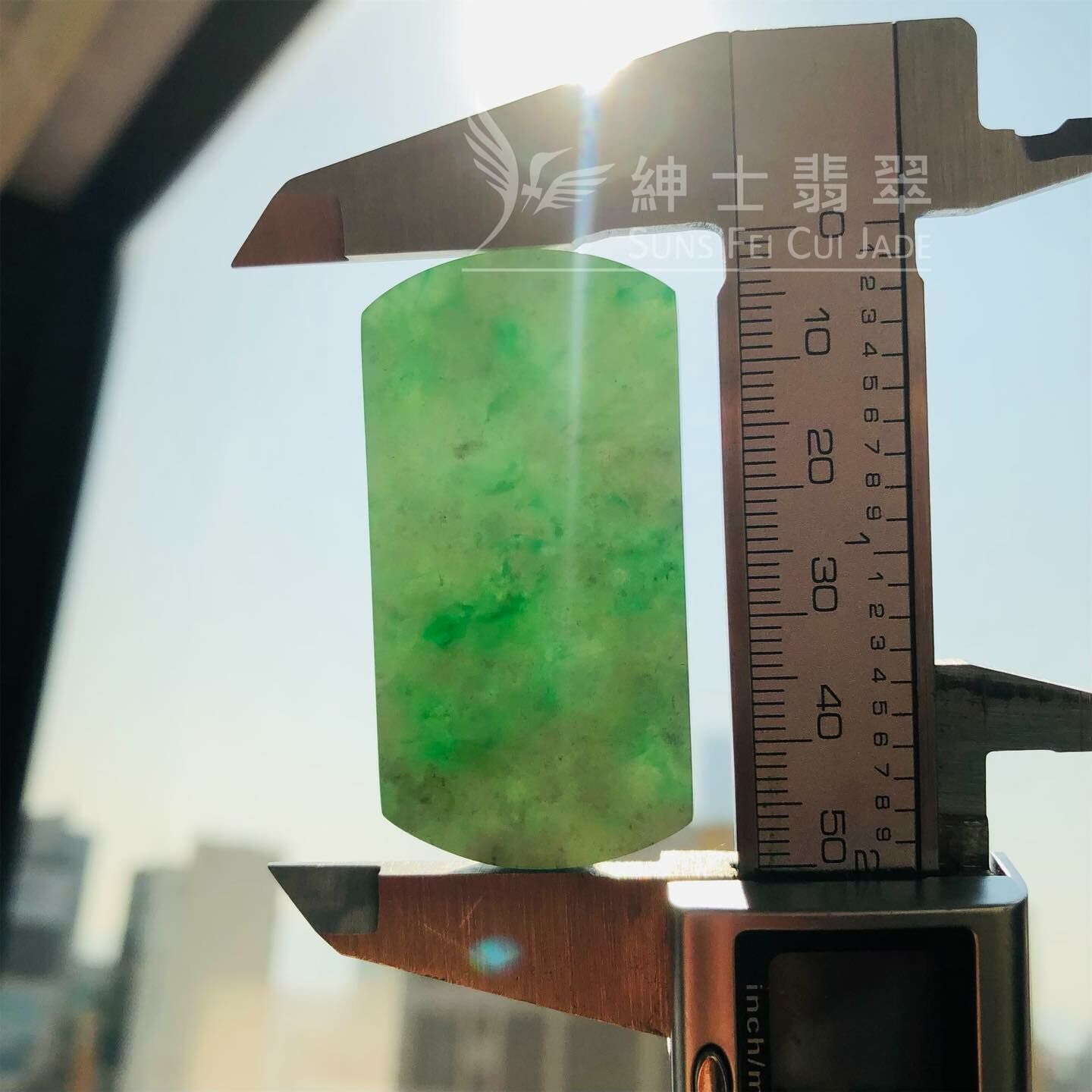 花青烏雞無事牌 - 1