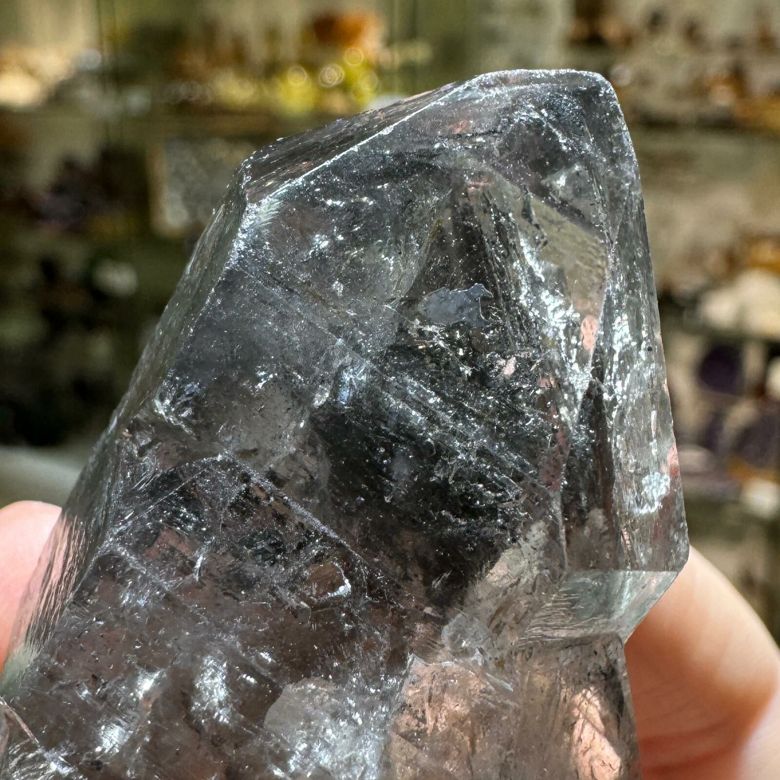 黑✨閃靈鑽