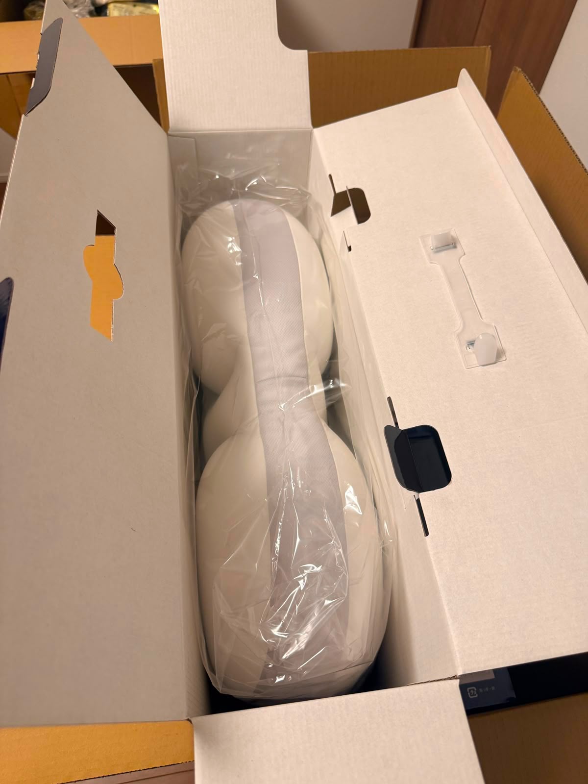 Morishita 人氣蠶絲羽絨枕