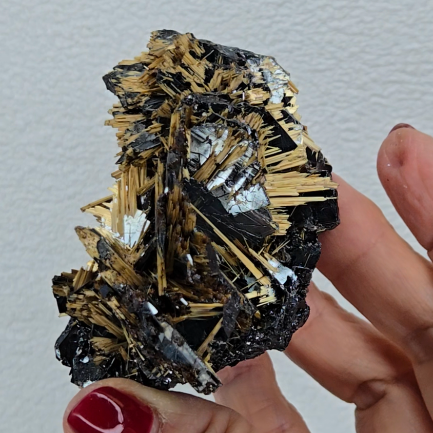 Golden exposed starburst rutiles on black hematite - RT288